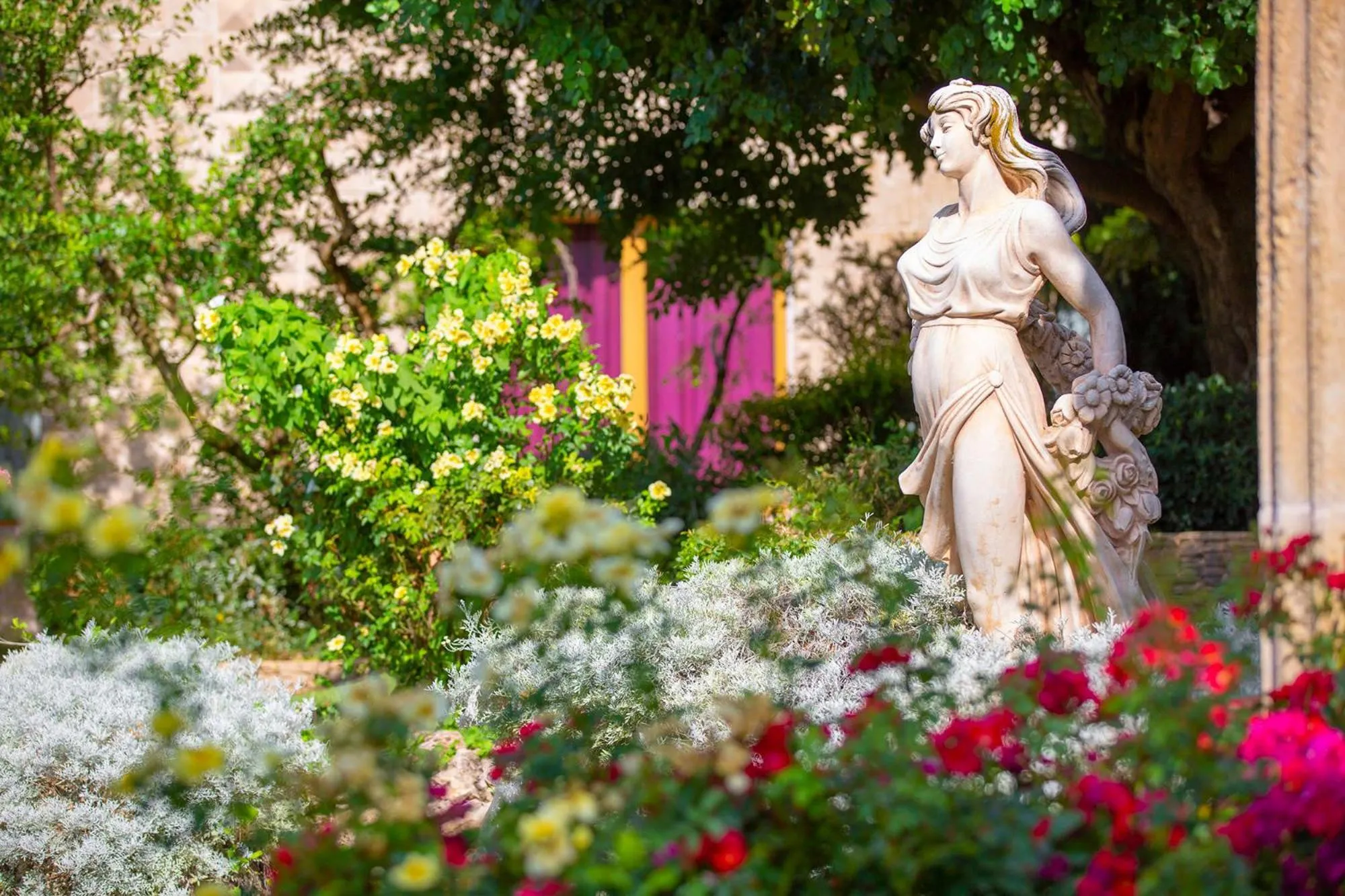 Garden in Maison Reale