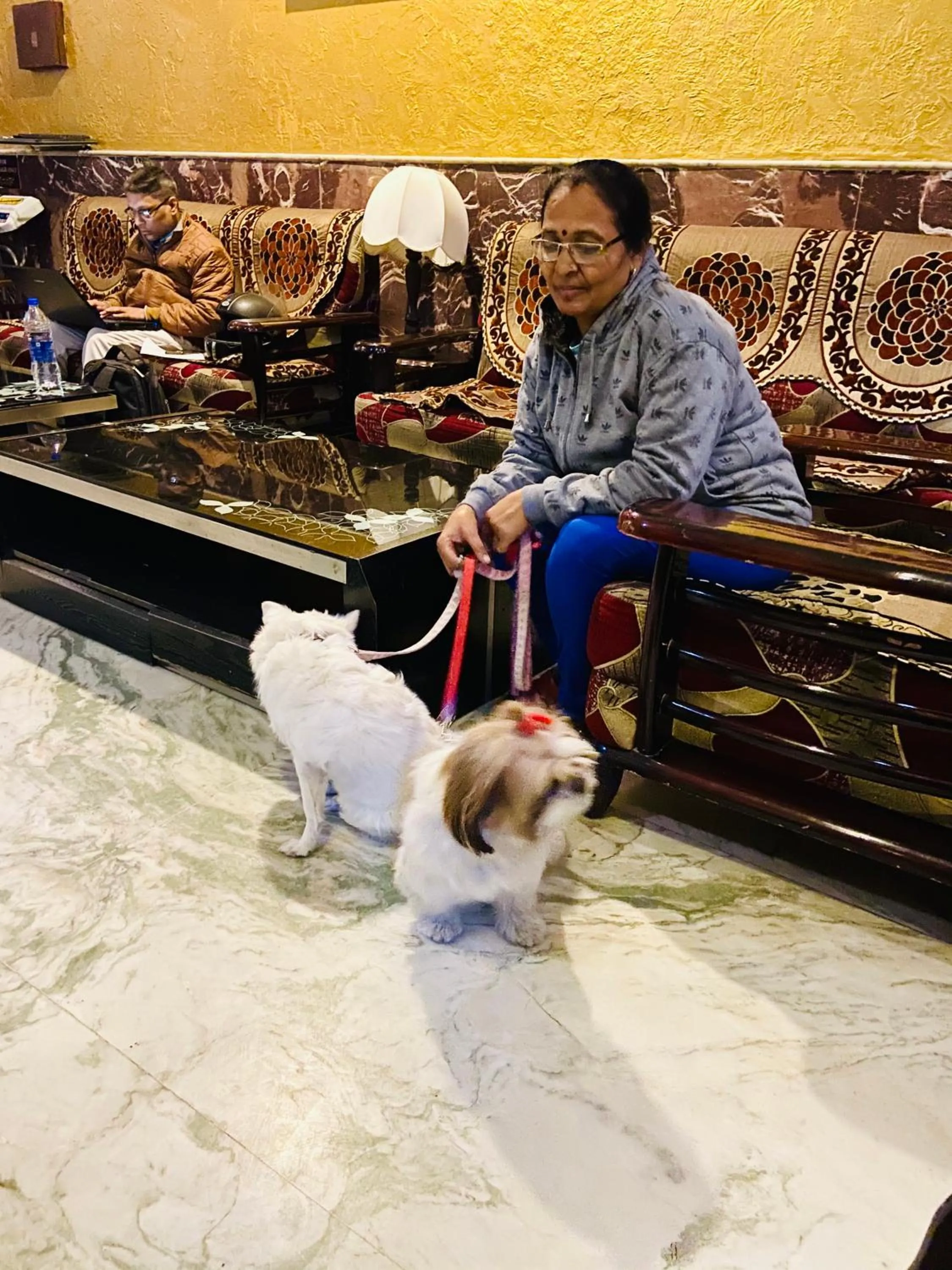 Pets in Hotel Meenakshi Udaipur - Family Preffered Hotel