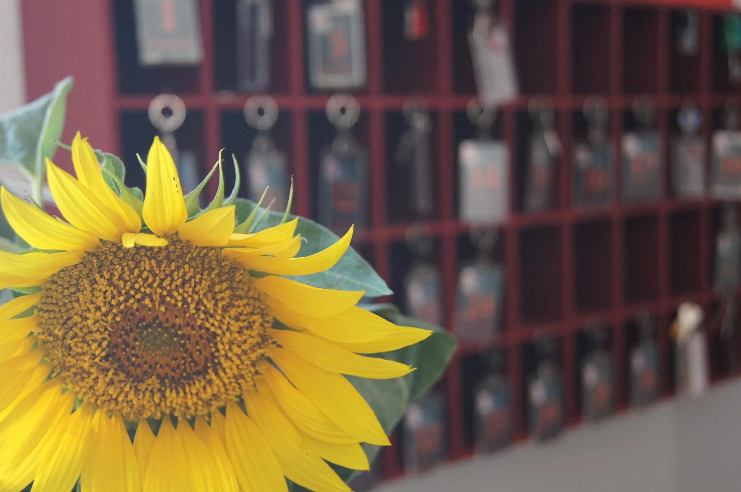 Lobby or reception in Château de Mons Armagnac