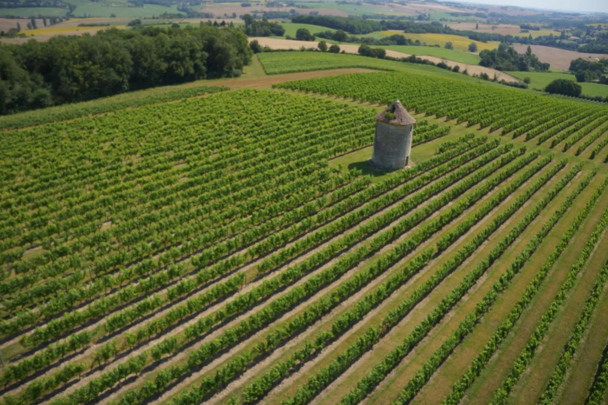 Garden in Château de Mons Armagnac