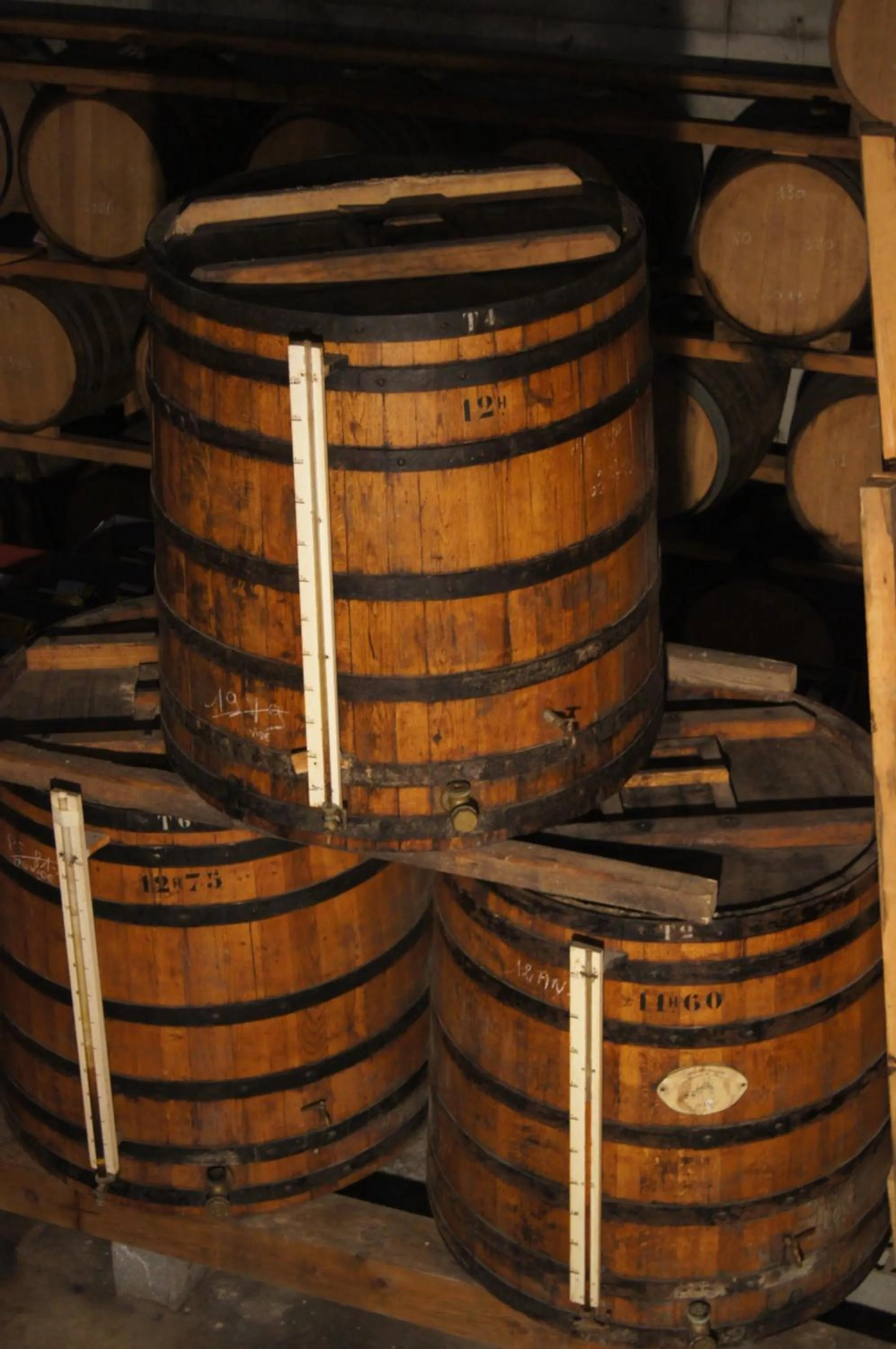 Activities in Château de Mons Armagnac