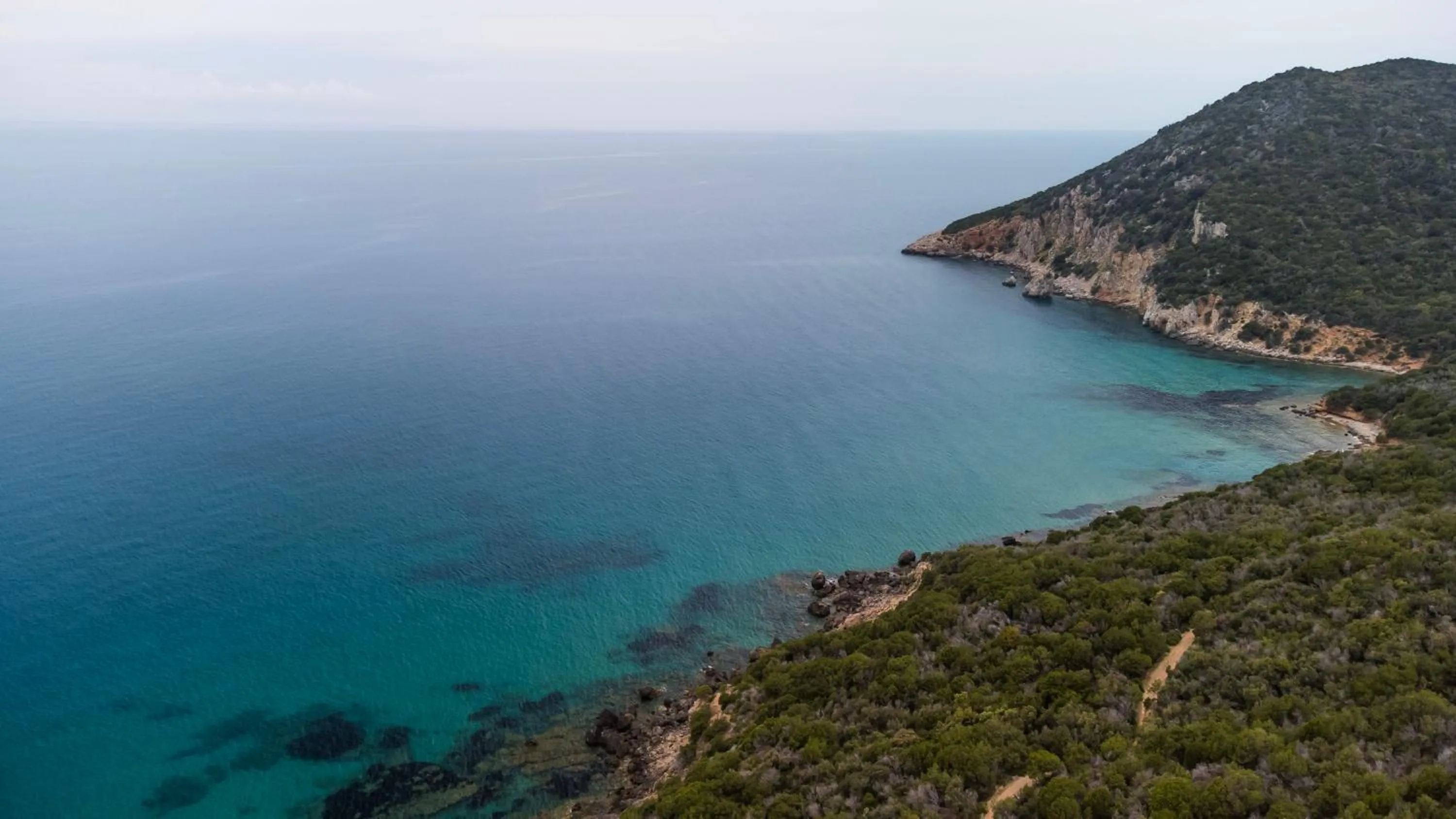 Bird's eye view in Tenuta Agricola dell'Uccellina