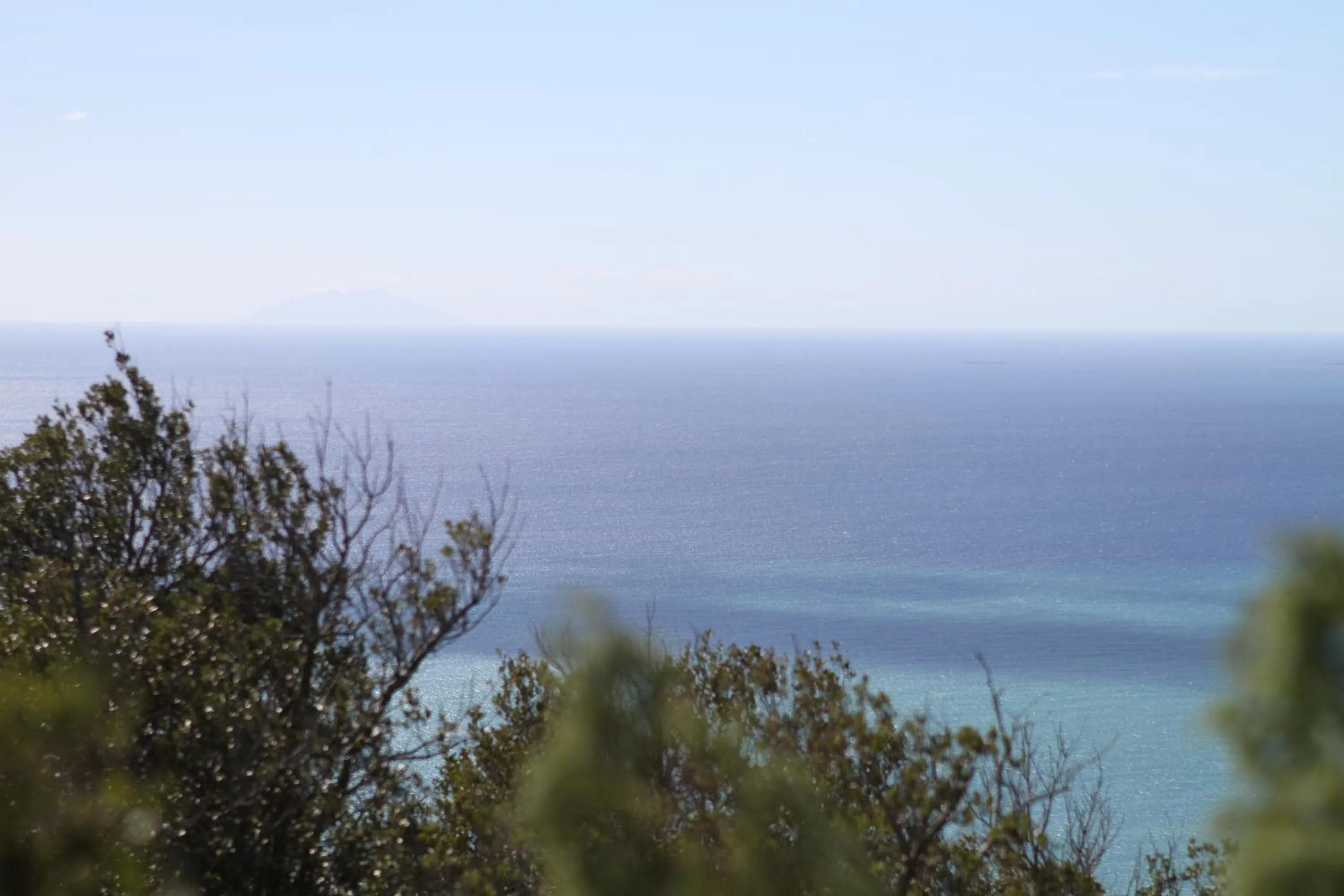 Natural landscape in Tenuta Agricola dell'Uccellina