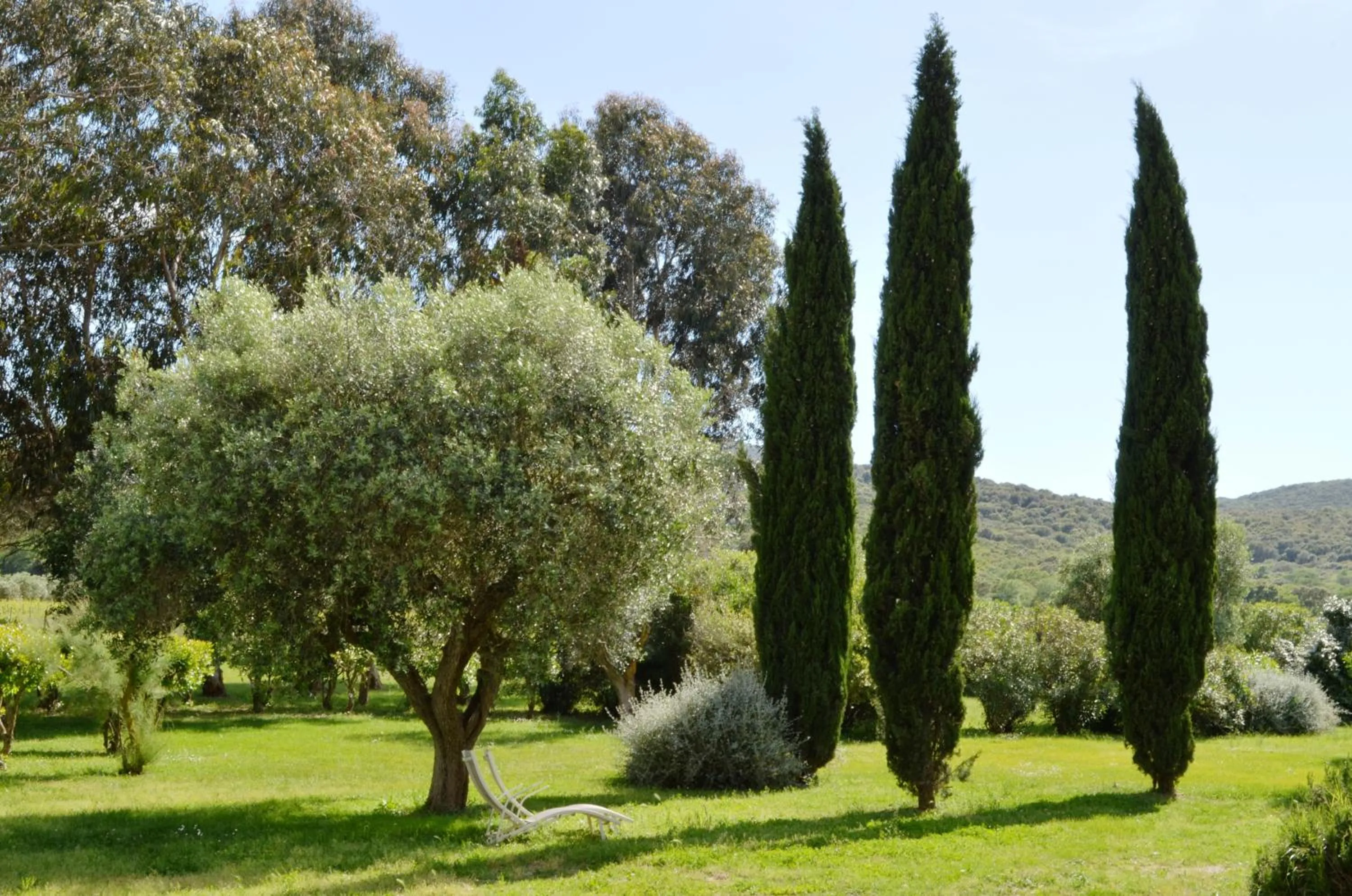 Garden in Tenuta Agricola dell'Uccellina