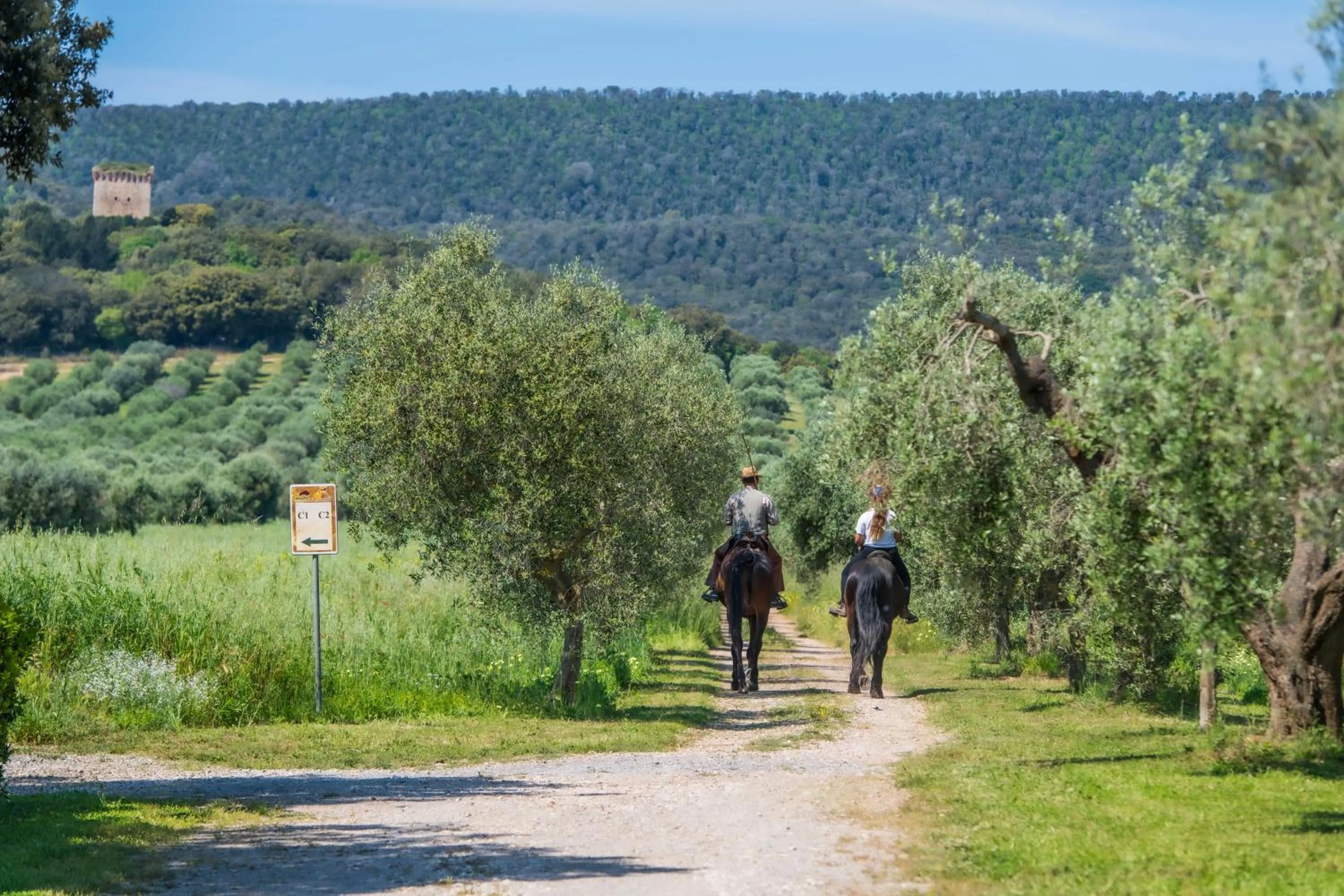 Natural landscape in Tenuta Agricola dell'Uccellina