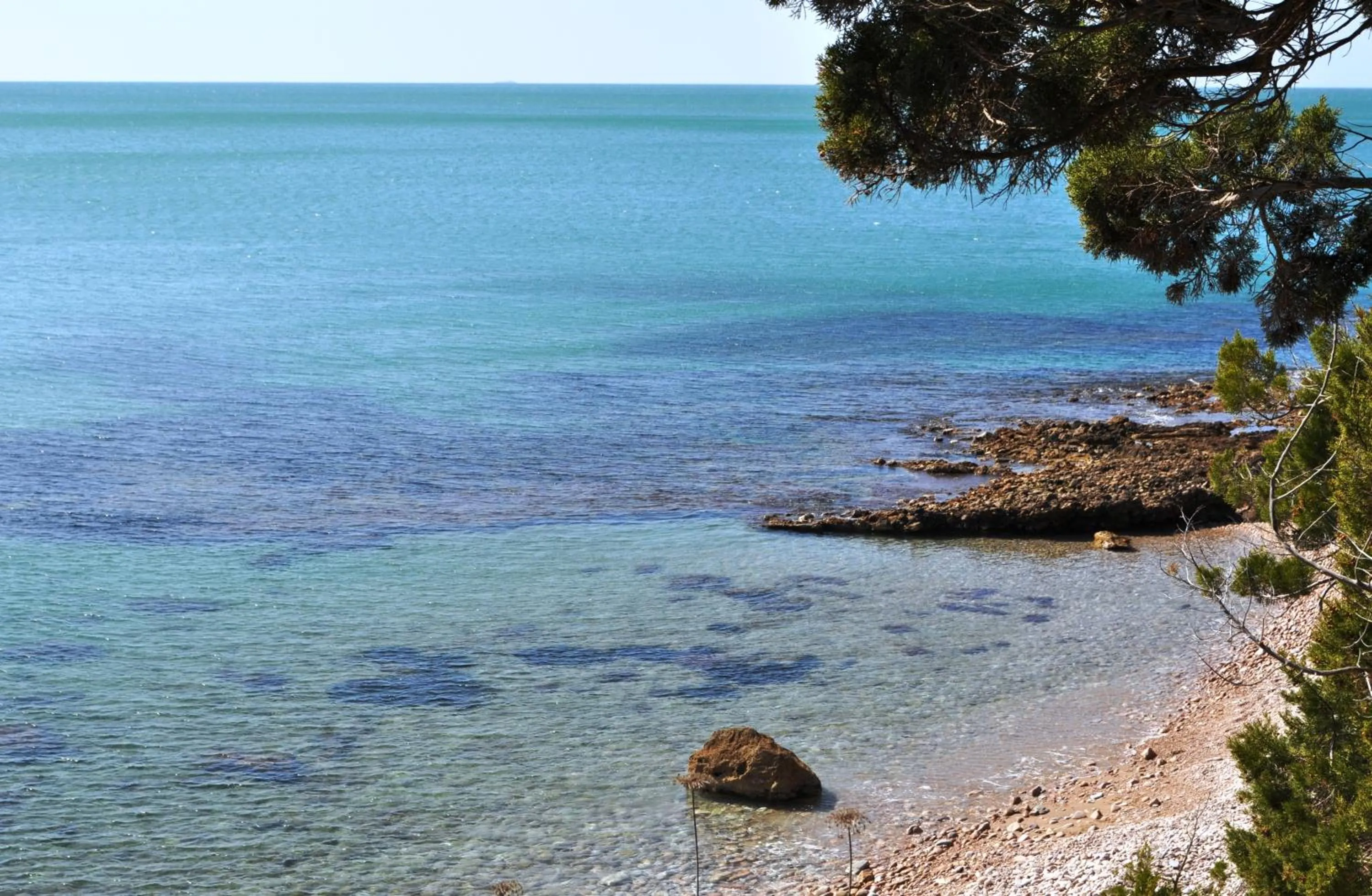 Natural landscape in Tenuta Agricola dell'Uccellina
