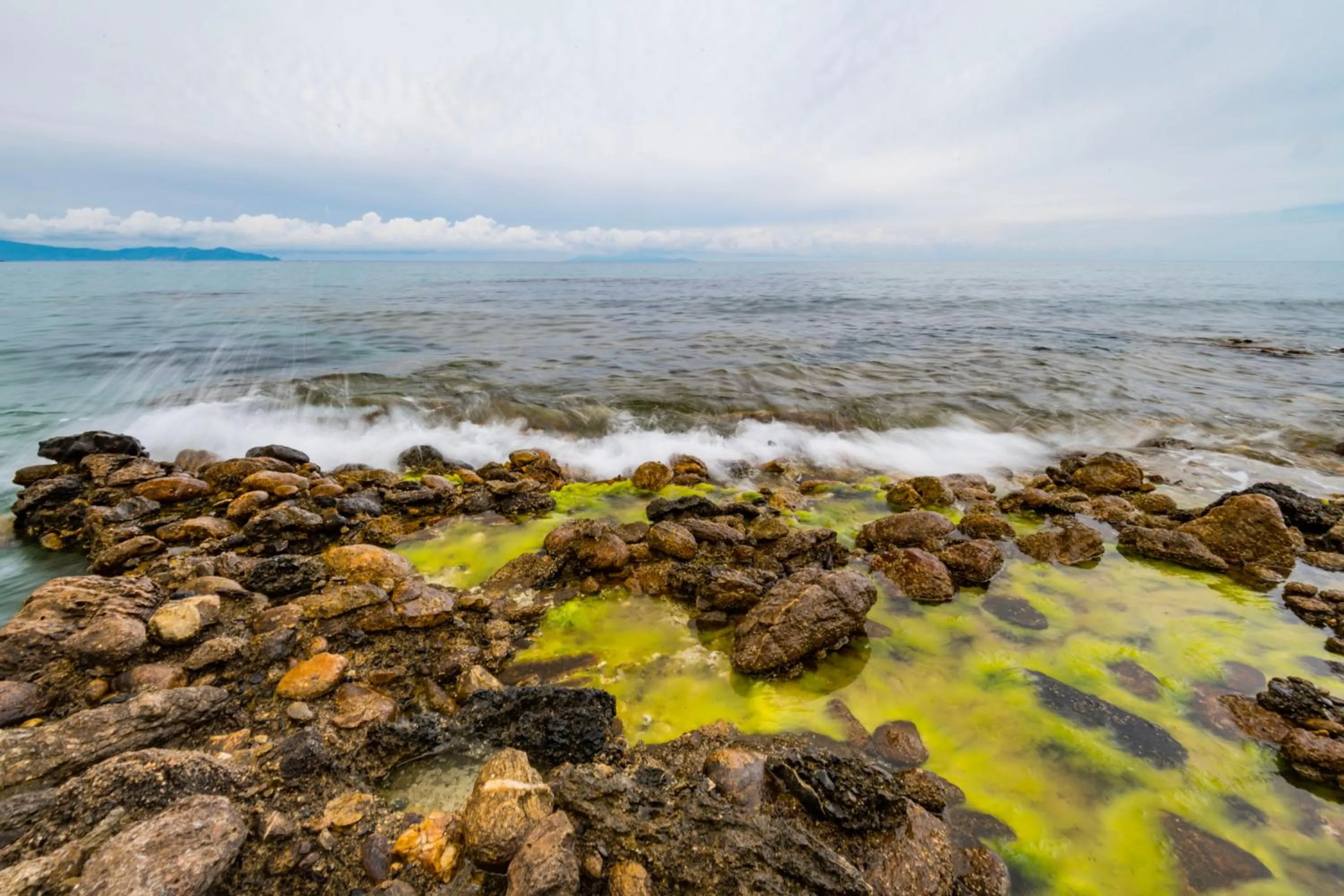 Natural landscape in Tenuta Agricola dell'Uccellina