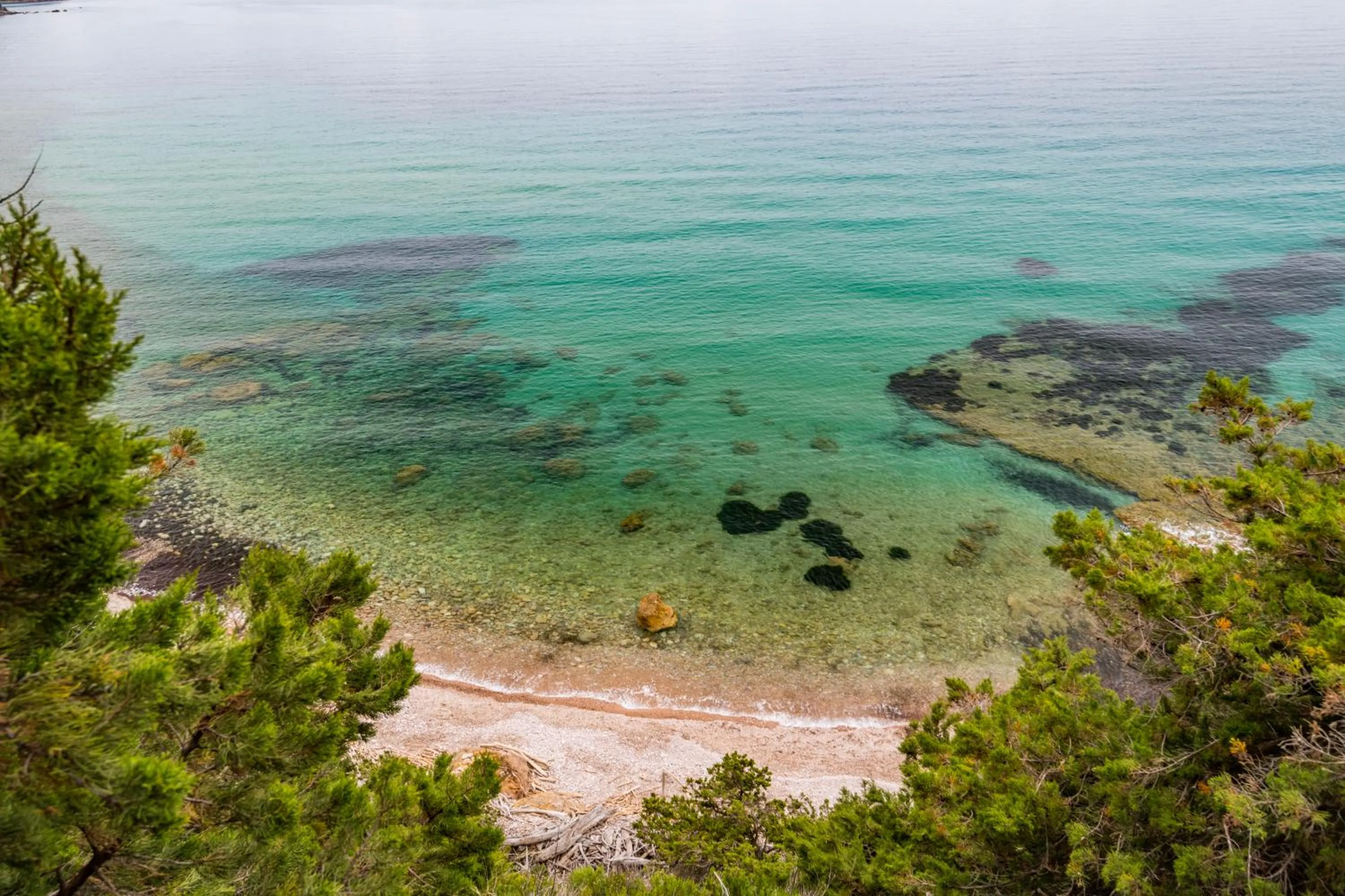 Natural landscape in Tenuta Agricola dell'Uccellina