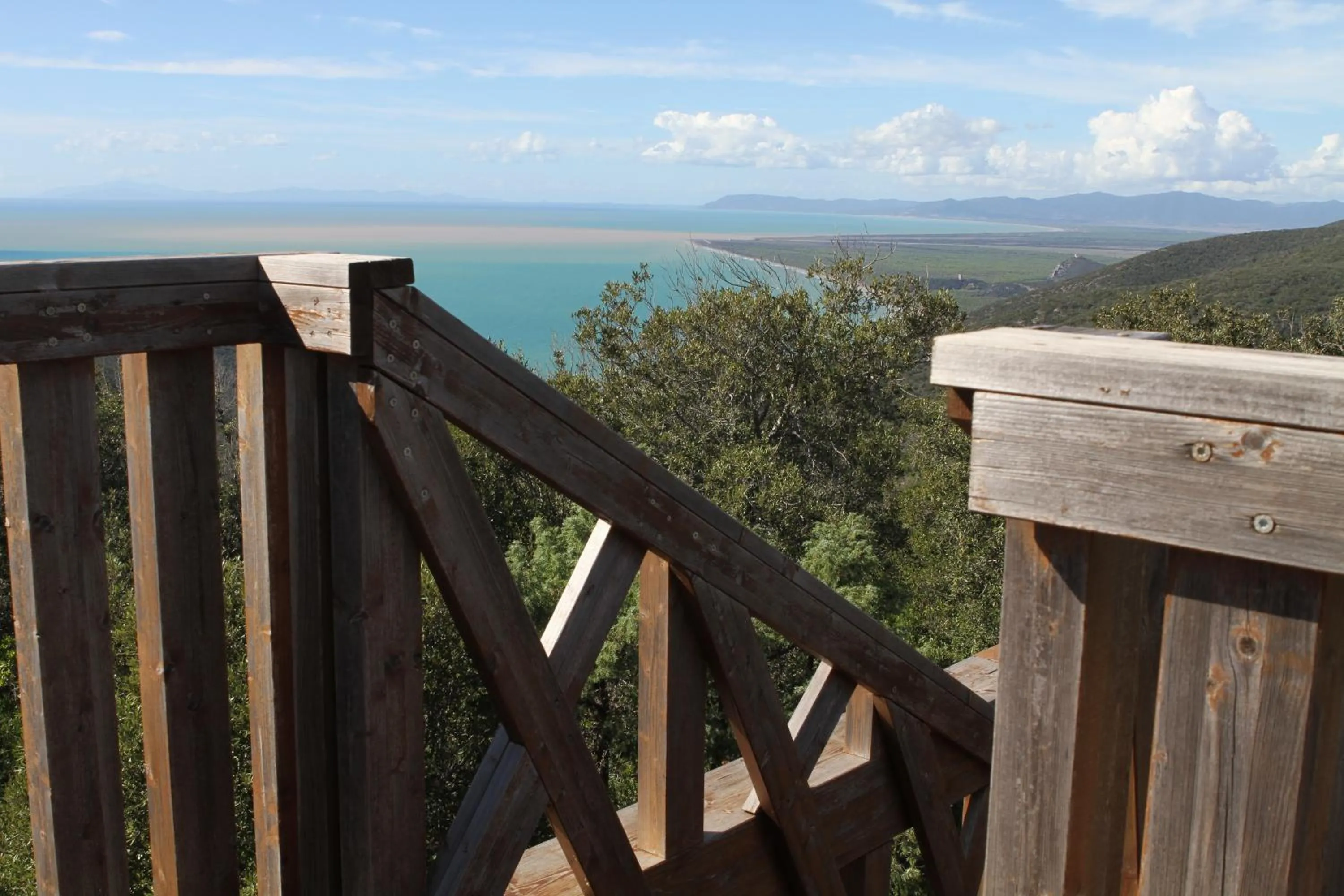 Natural landscape in Tenuta Agricola dell'Uccellina