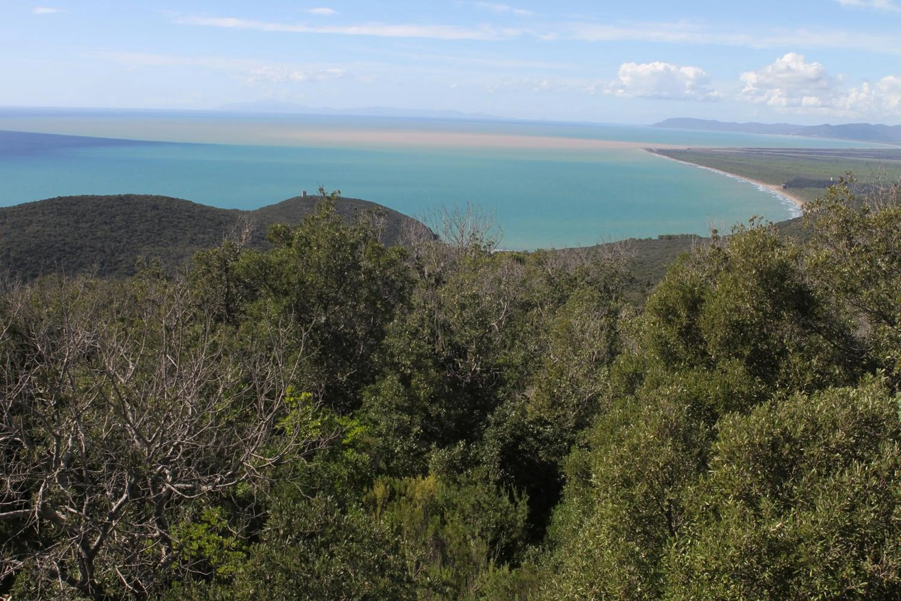 Natural landscape in Tenuta Agricola dell'Uccellina