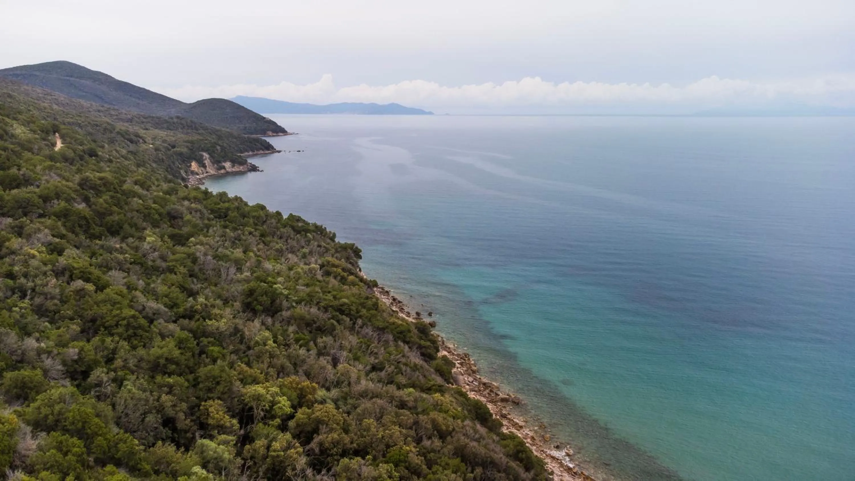 Natural landscape in Tenuta Agricola dell'Uccellina