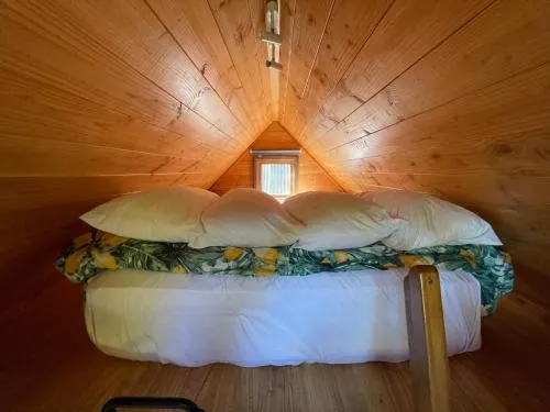 Studio & Cabin on Whitby