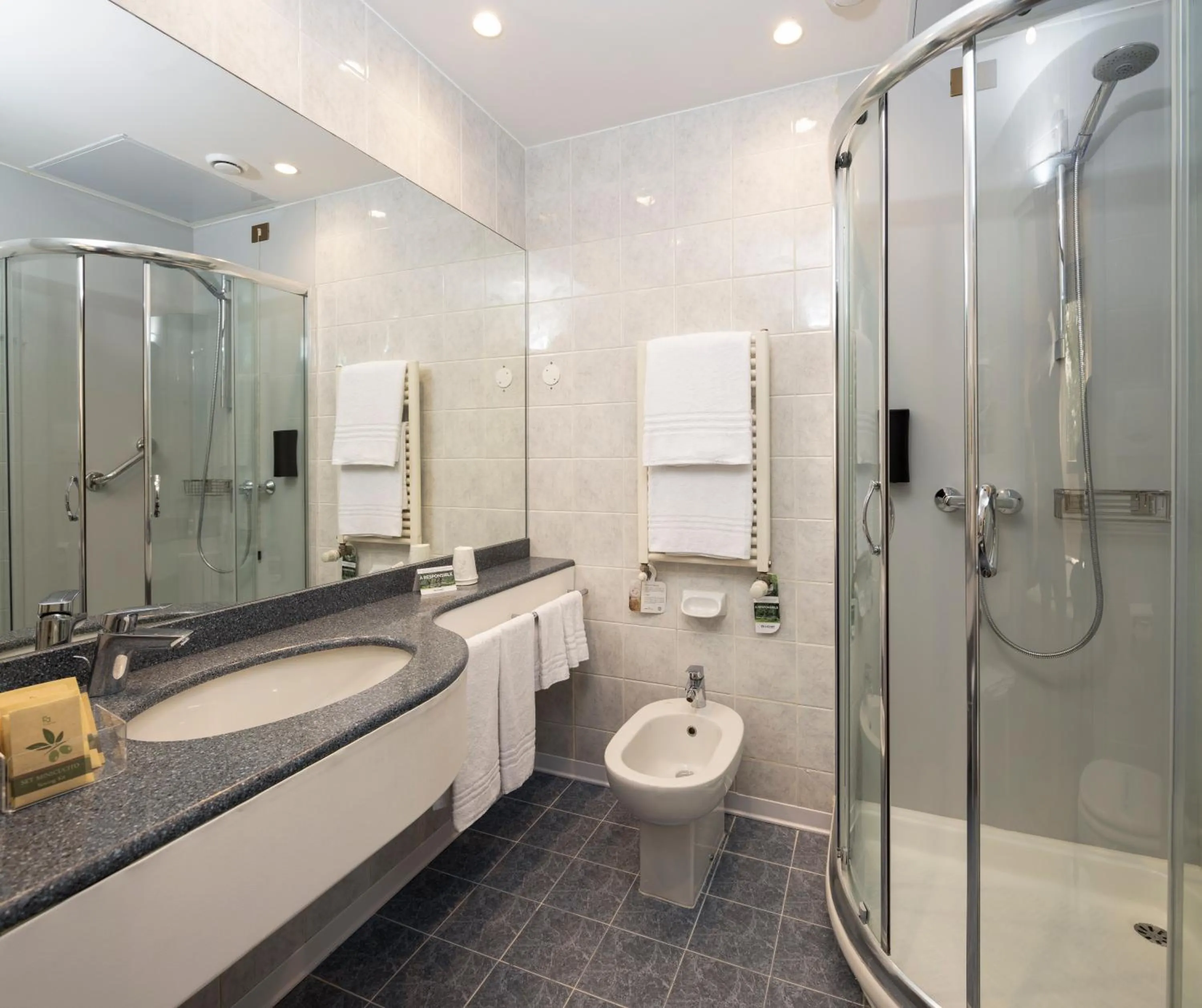 Shower in Best Western Air Hotel Linate