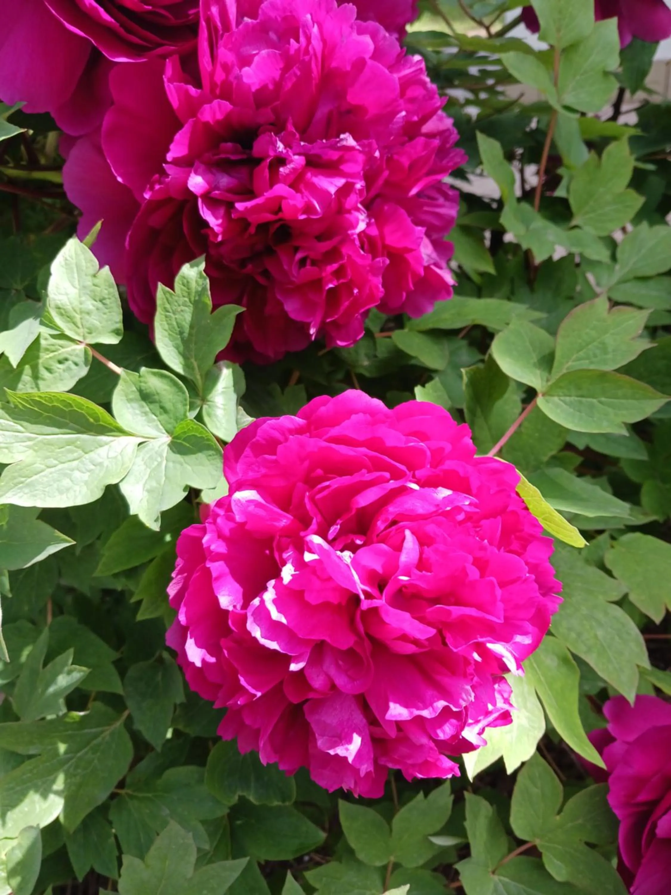 Spring in Villaggio Mithos