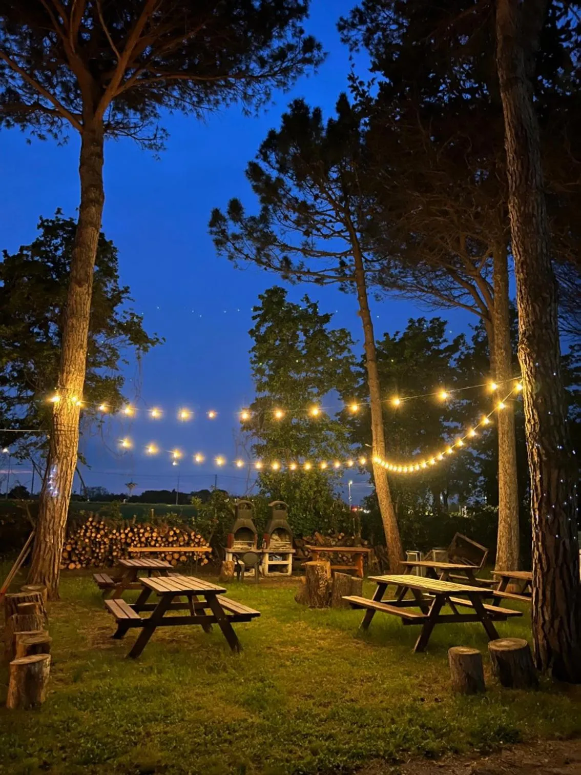 Food close-up in Villaggio Mithos