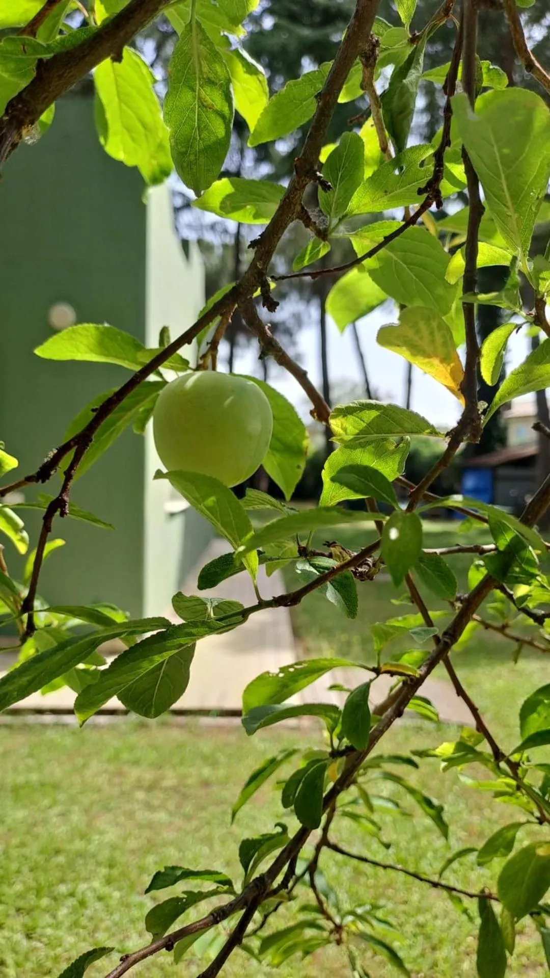Spring in Villaggio Mithos