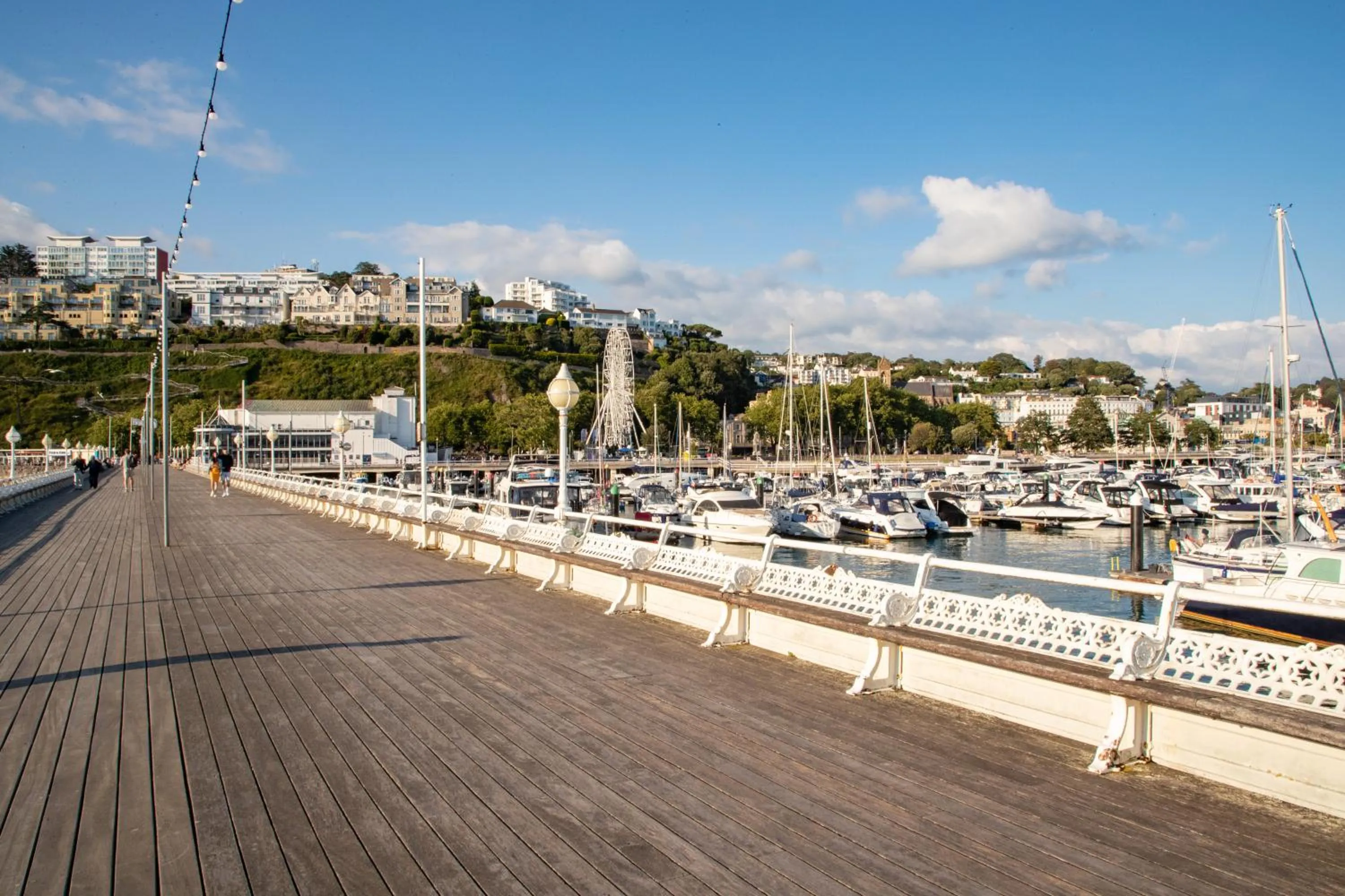 Neighbourhood in The Caledonian Torbay Hotel