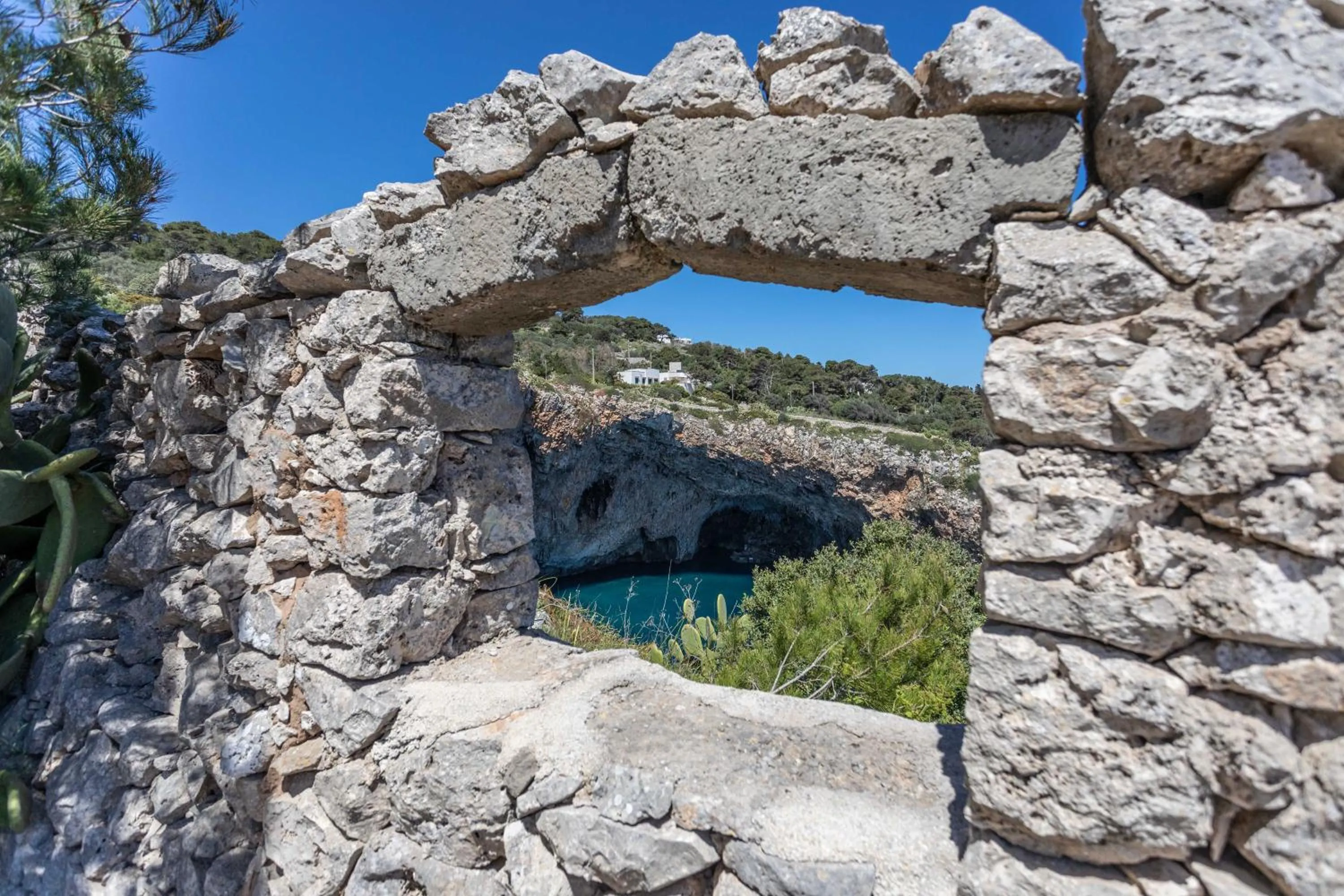 Il Posto delle Fragole