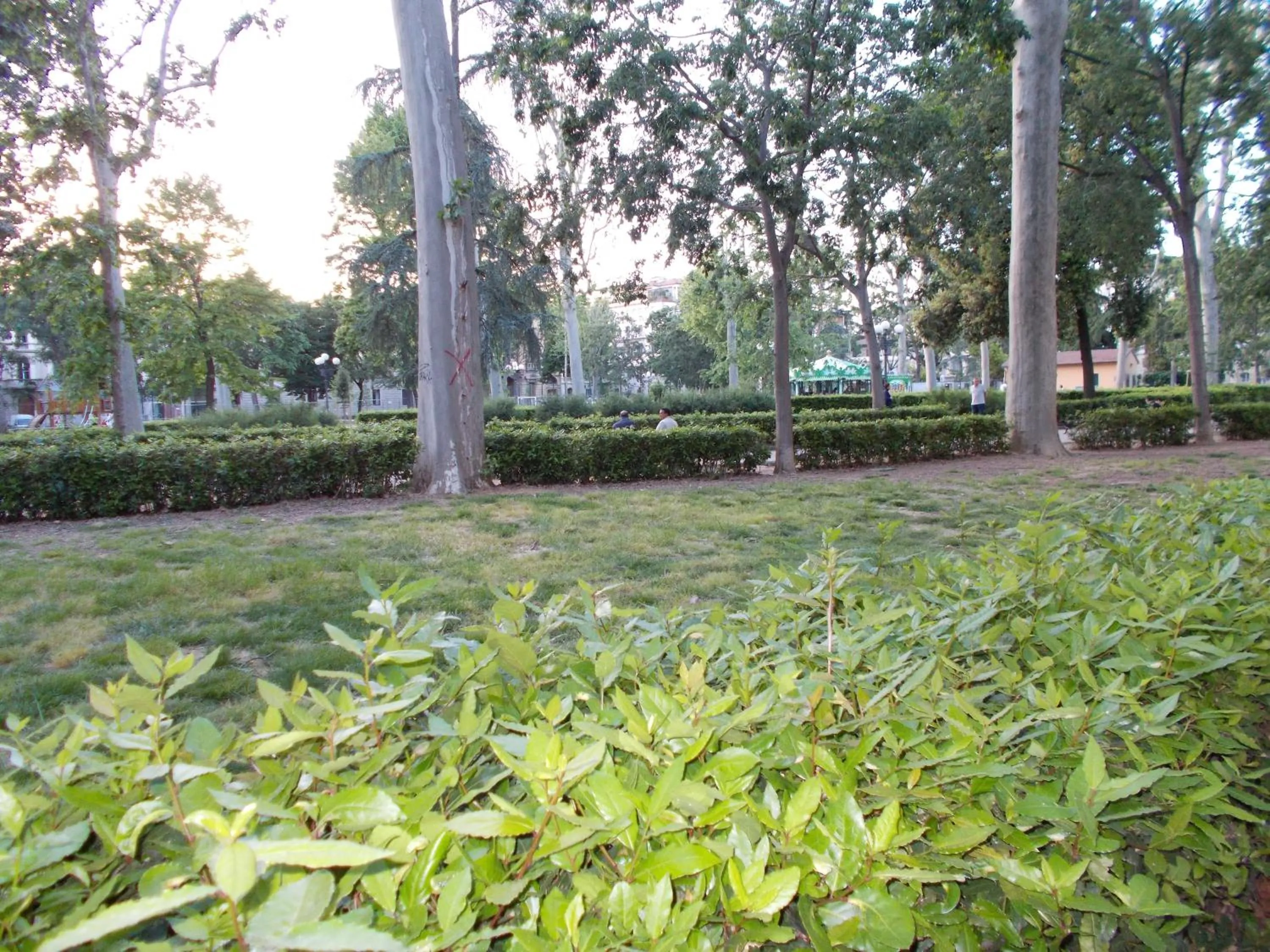 Neighbourhood in Hotel d'Azeglio Firenze