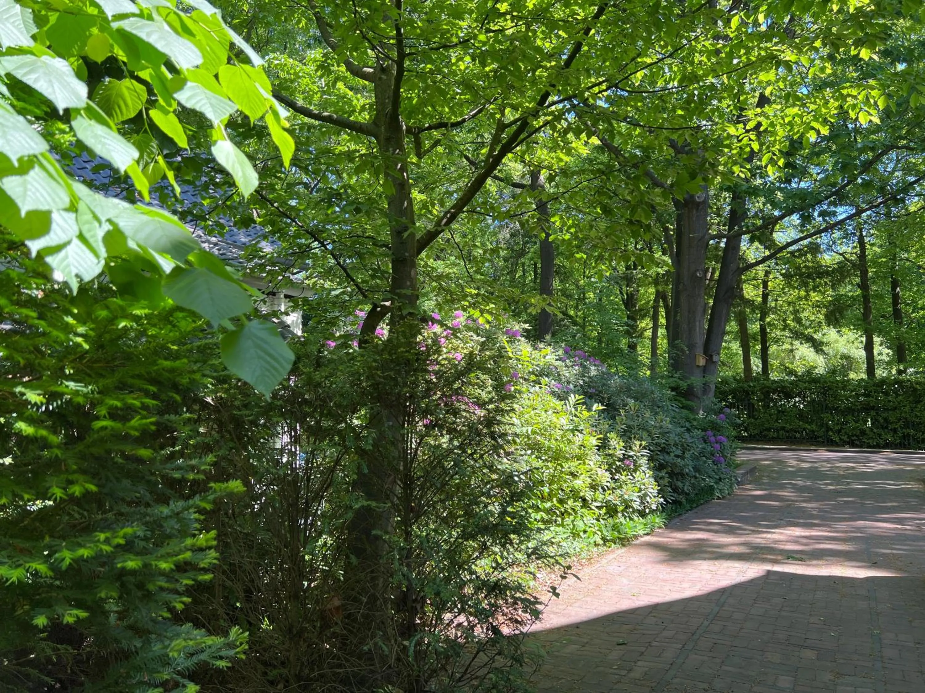 Property building in de Merel