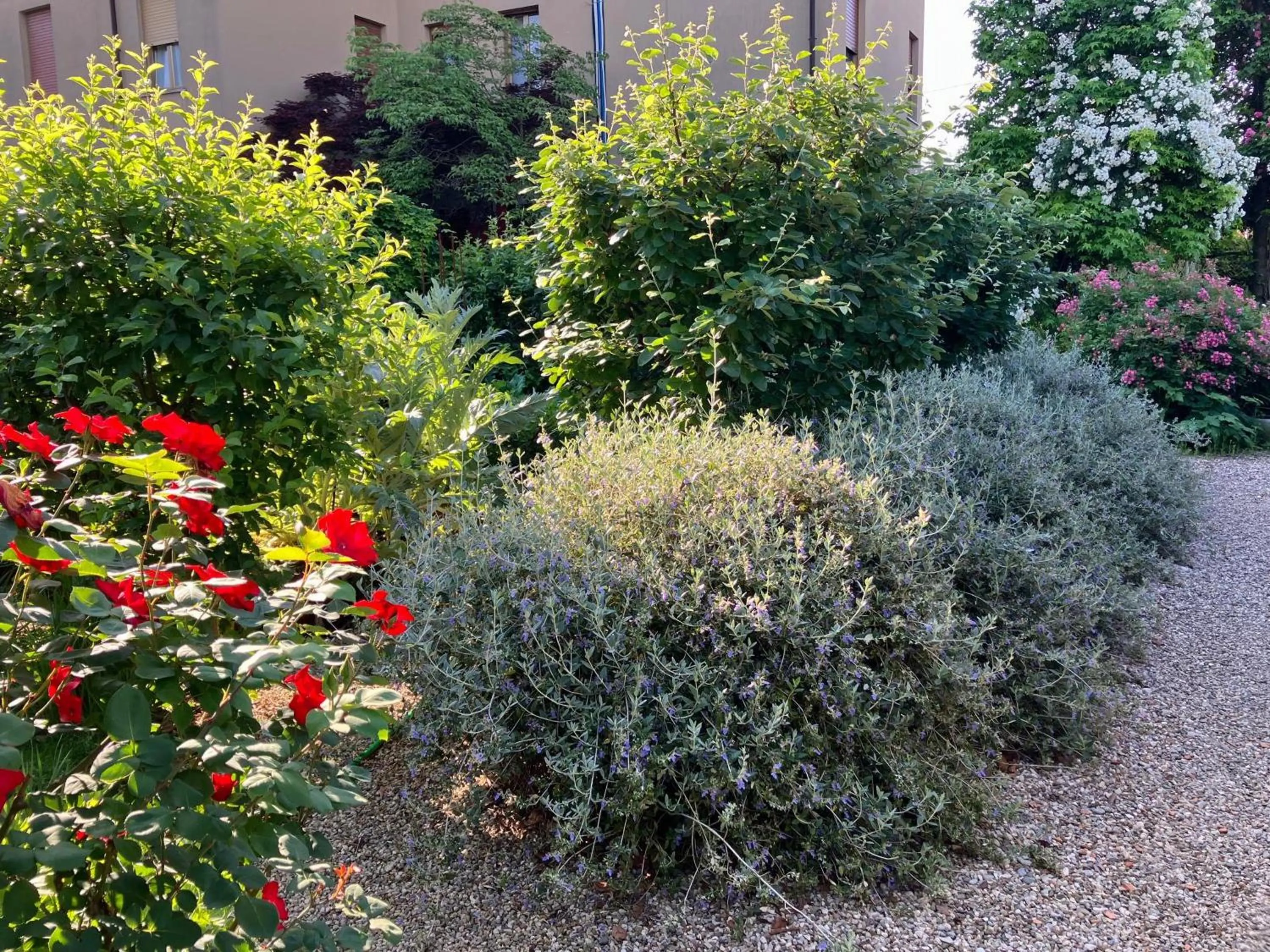 Garden in Casa Stucky