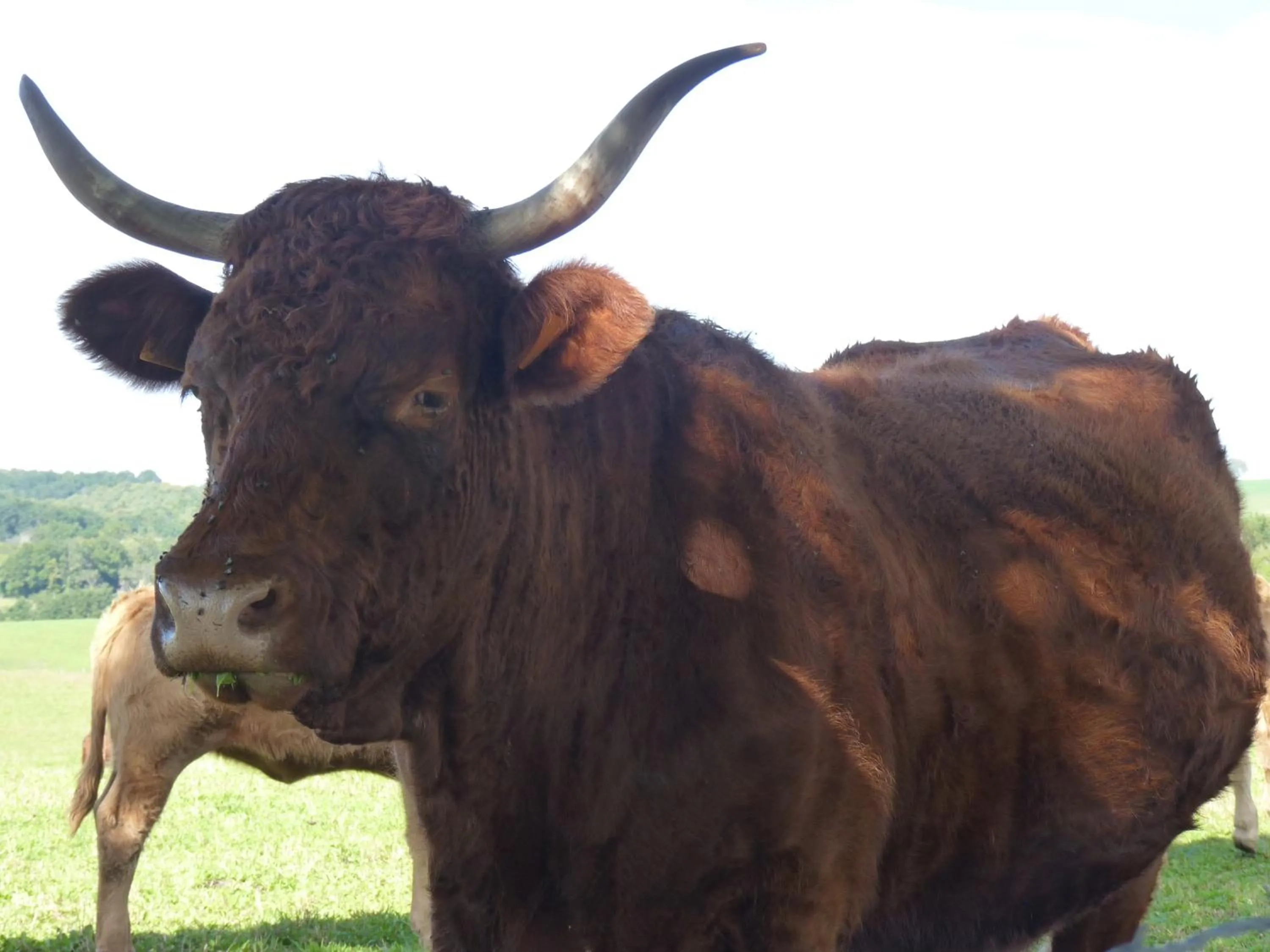 Off site in Chambres d'hôtes - Domaine de la Grangeotte