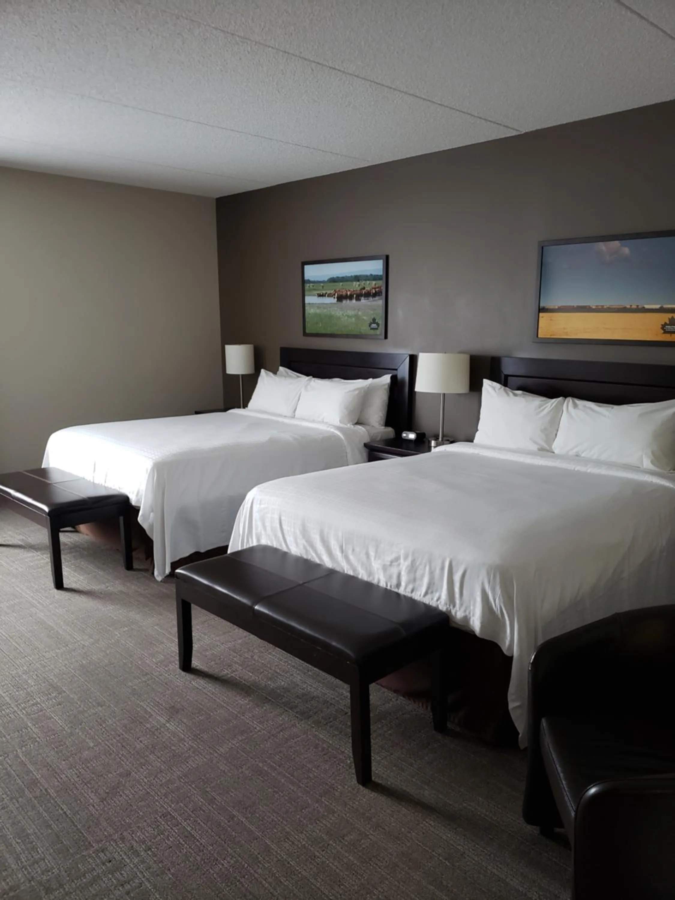 Bed in Canad Inns Health Sciences Centre