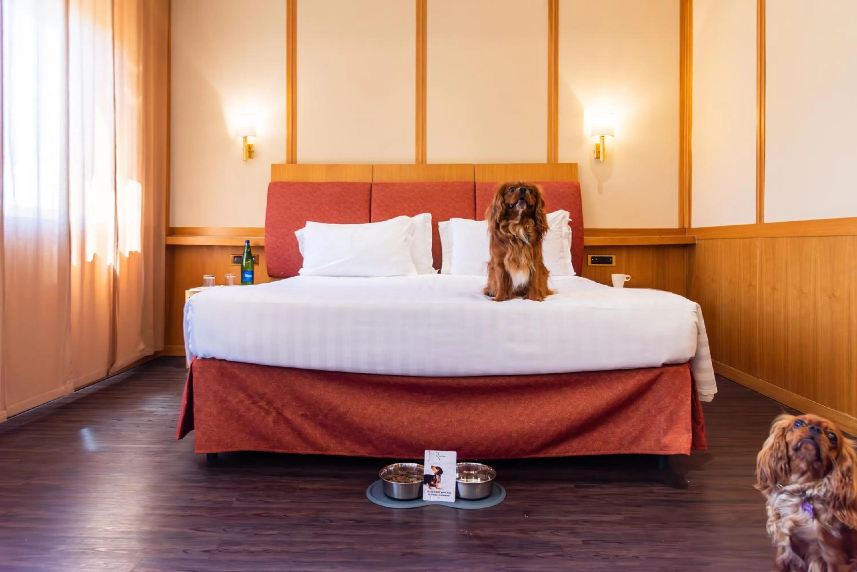 Bedroom in Best Western Hotel President - Colosseo