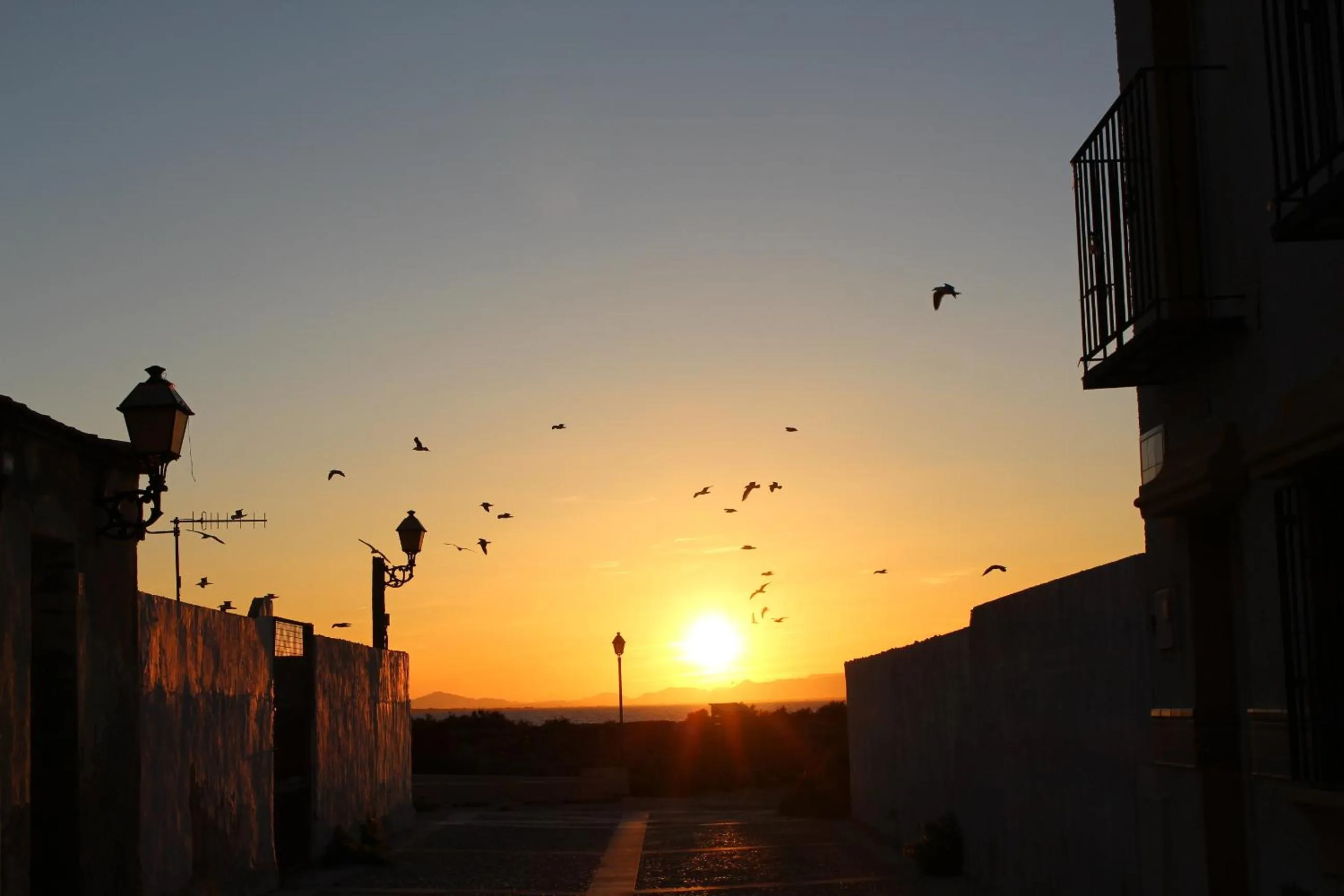 Natural landscape in HOTEL ISLA PLANA