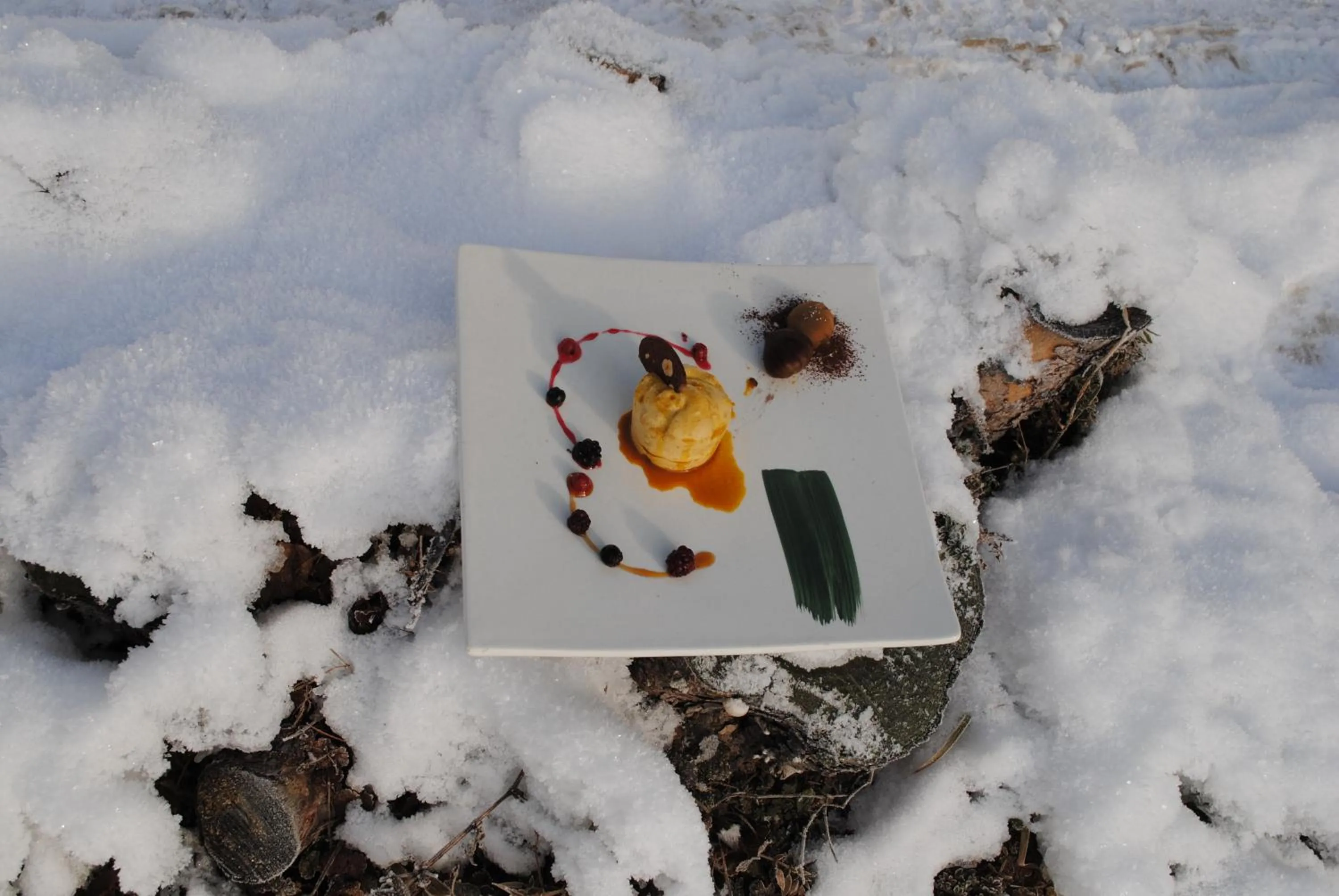 Food close-up in Monaco Sport Hotel