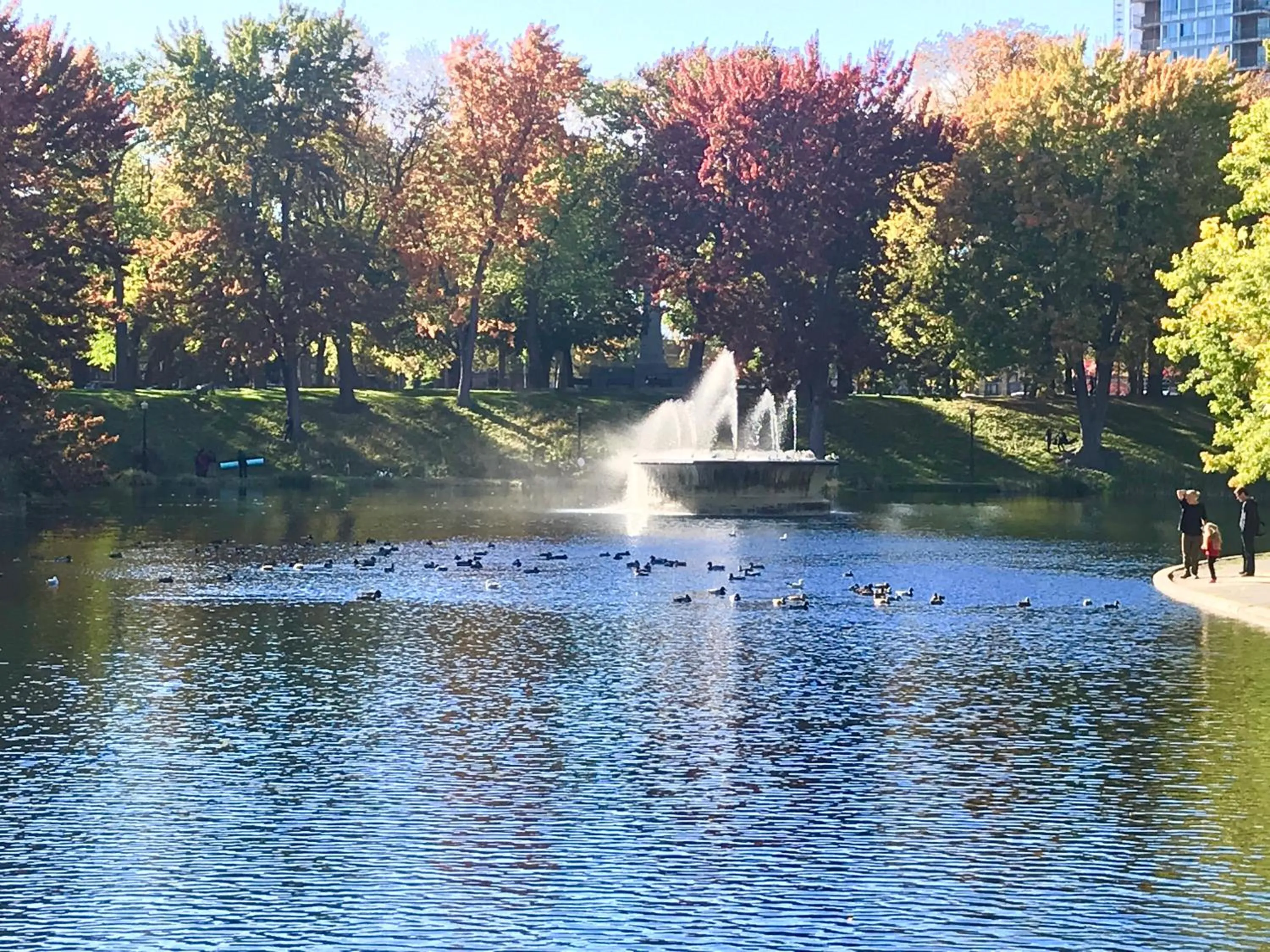 Nearby landmark in MtlVacationRentals - MTL ZOO