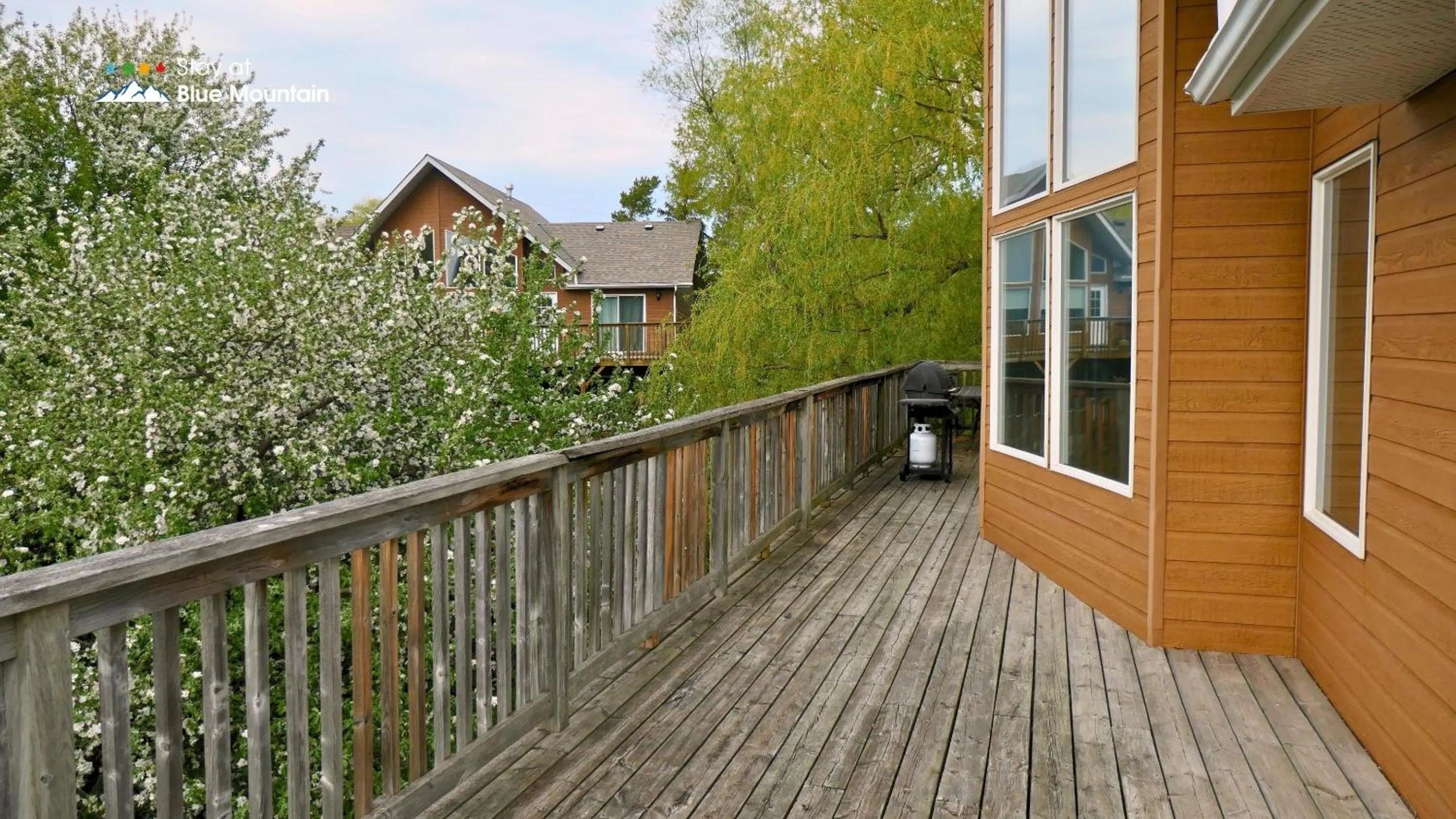 BBQ facilities in Summit Ridge 1