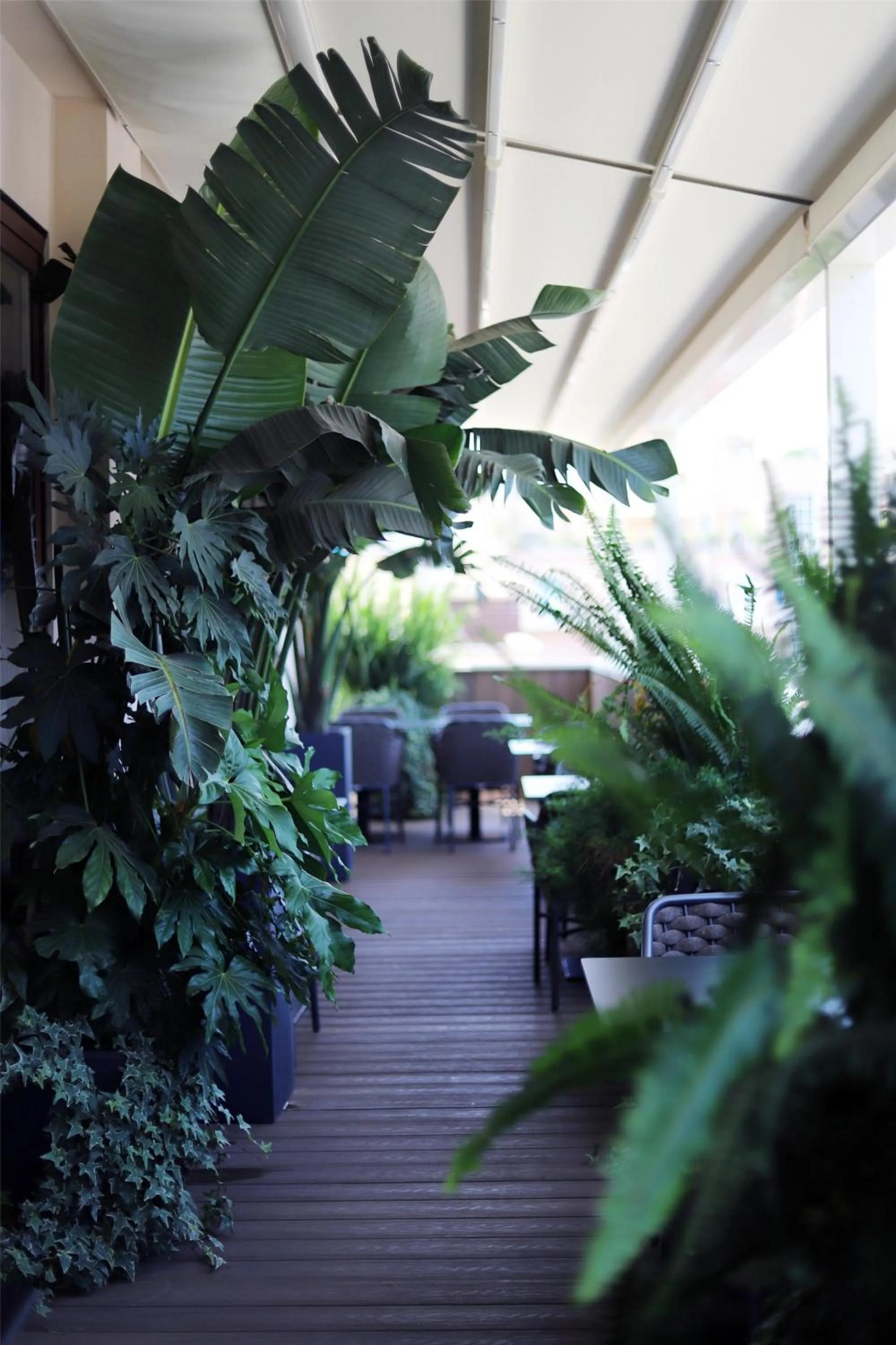 Restaurant/places to eat in Radisson Blu GHR Rome