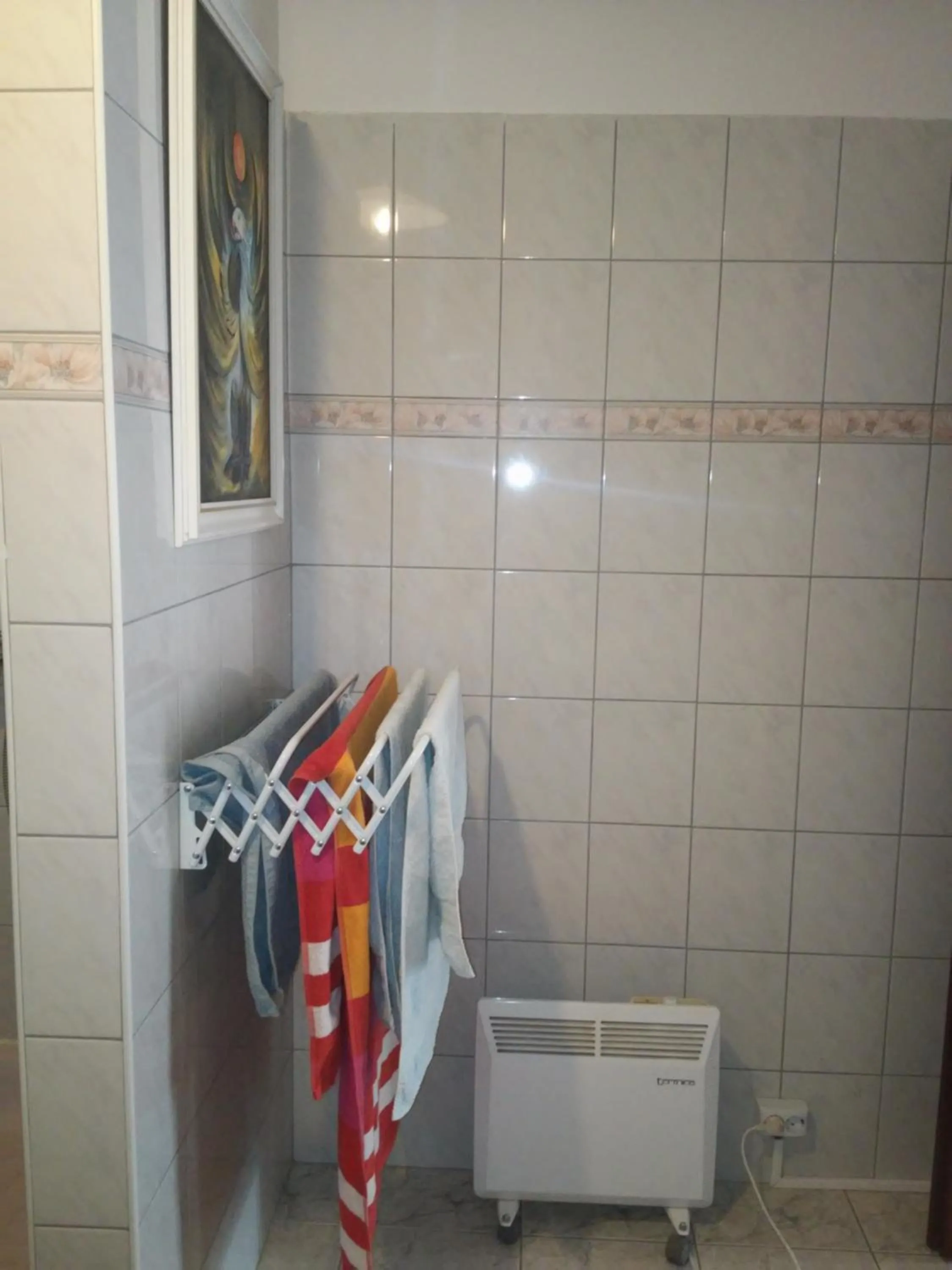 Shower in Valloris Apartments