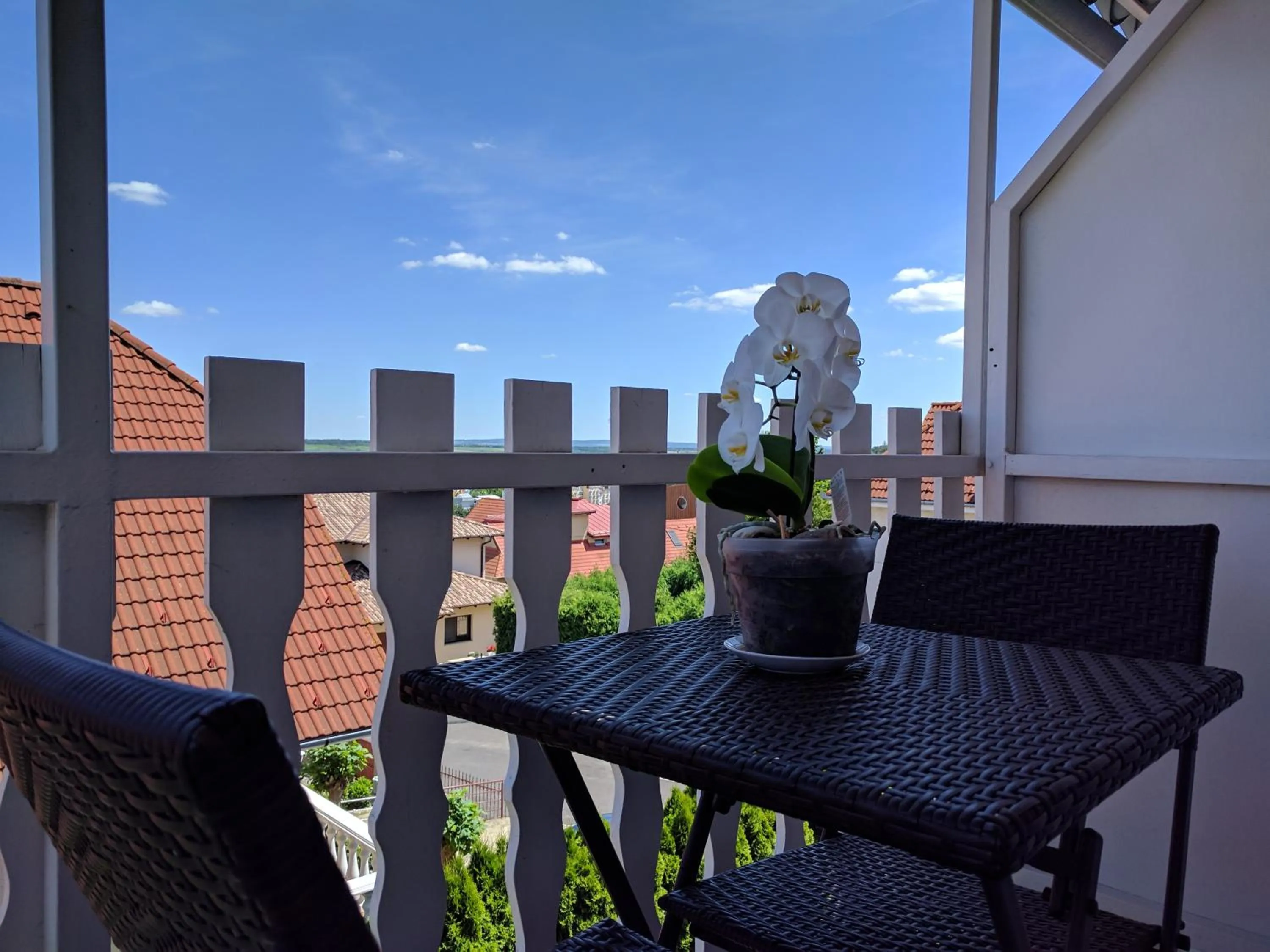 Decorative detail in Valloris Apartments