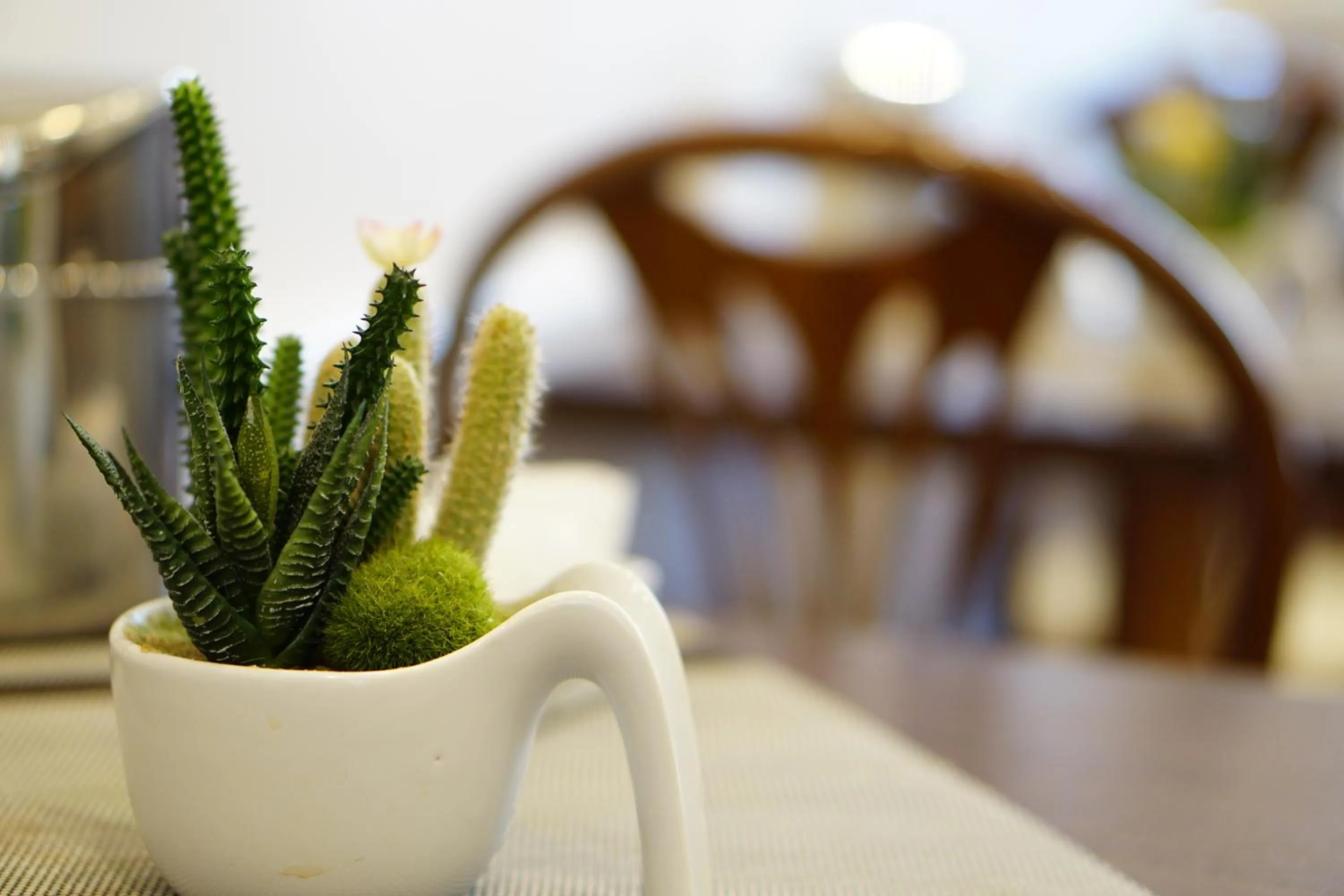 Lounge or bar in Hotel Martini