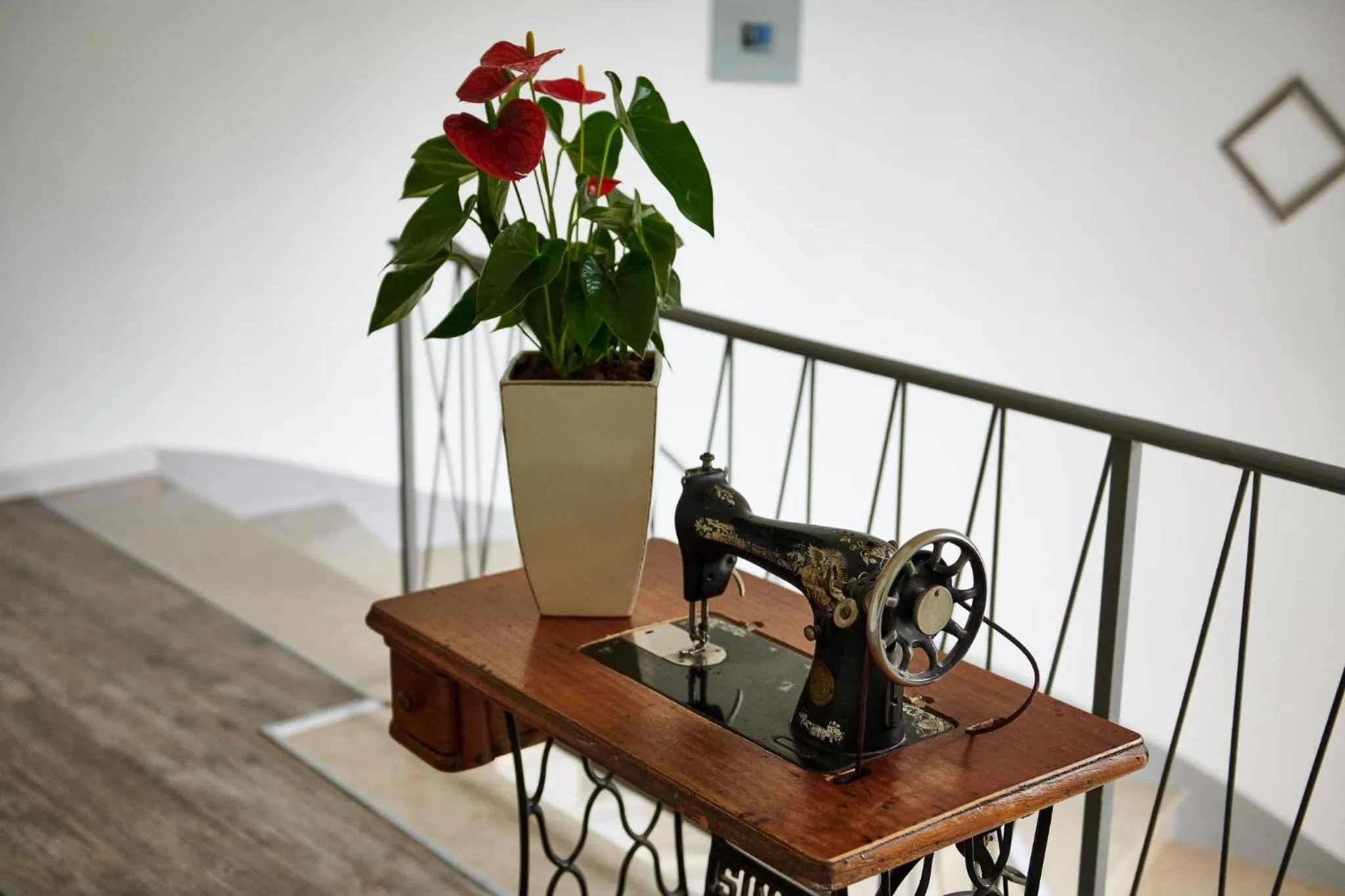 Area and facilities in Eco Hotel Benacus