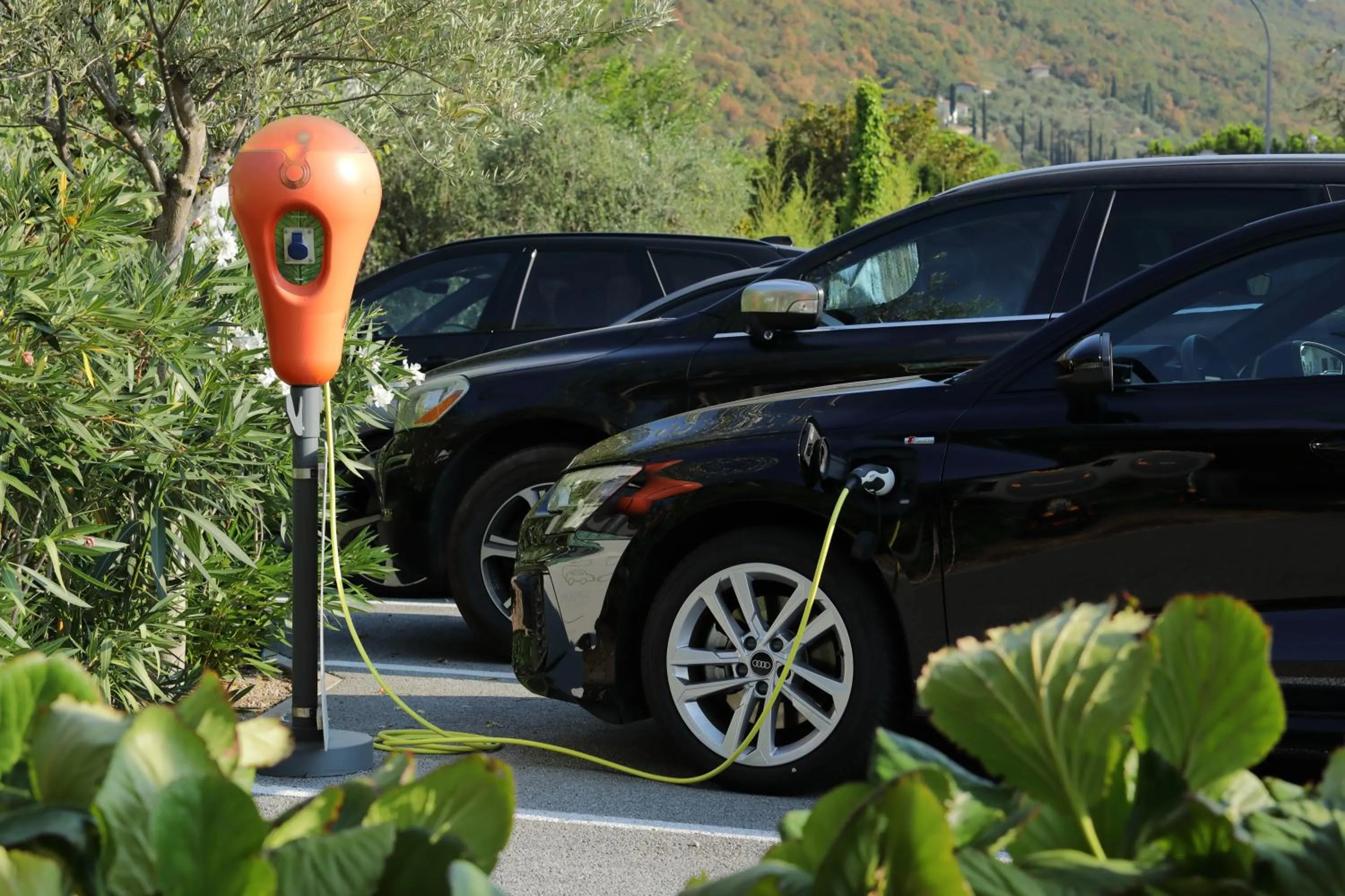 Area and facilities in Eco Hotel Benacus