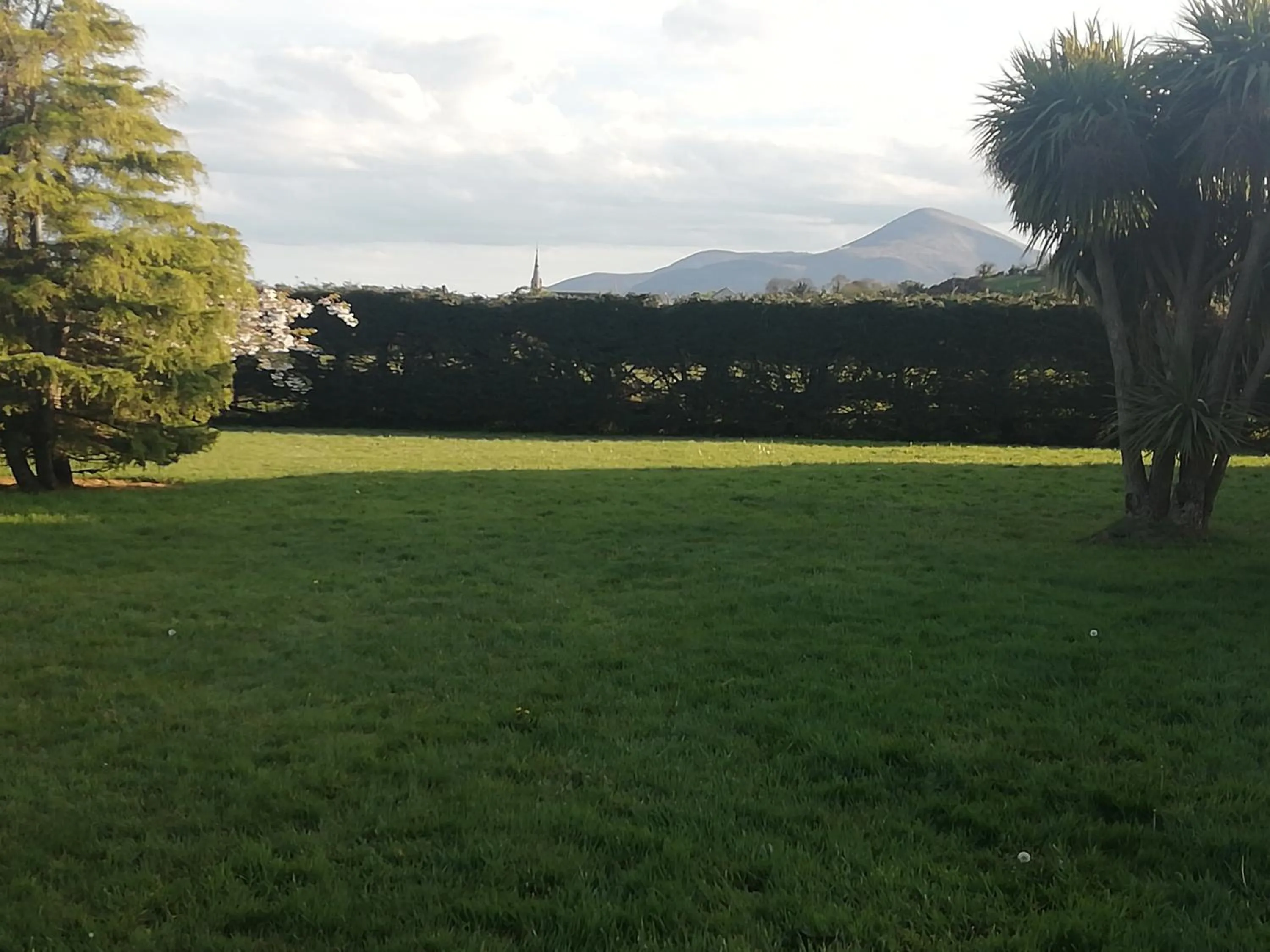 Garden in Arley House B & B