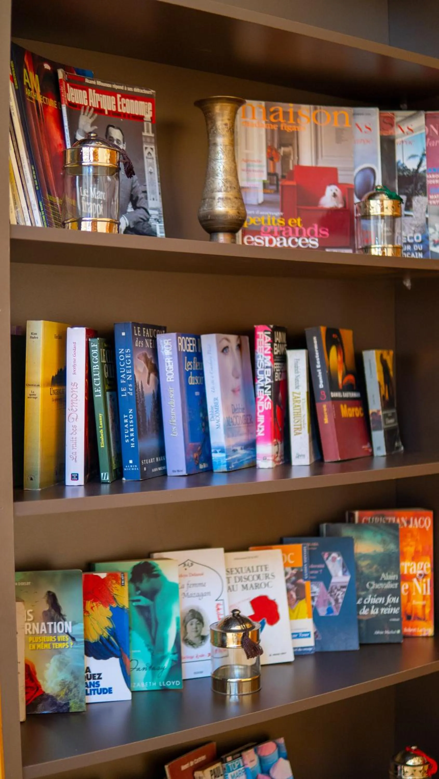 Library in Riad villa saphir & SPA