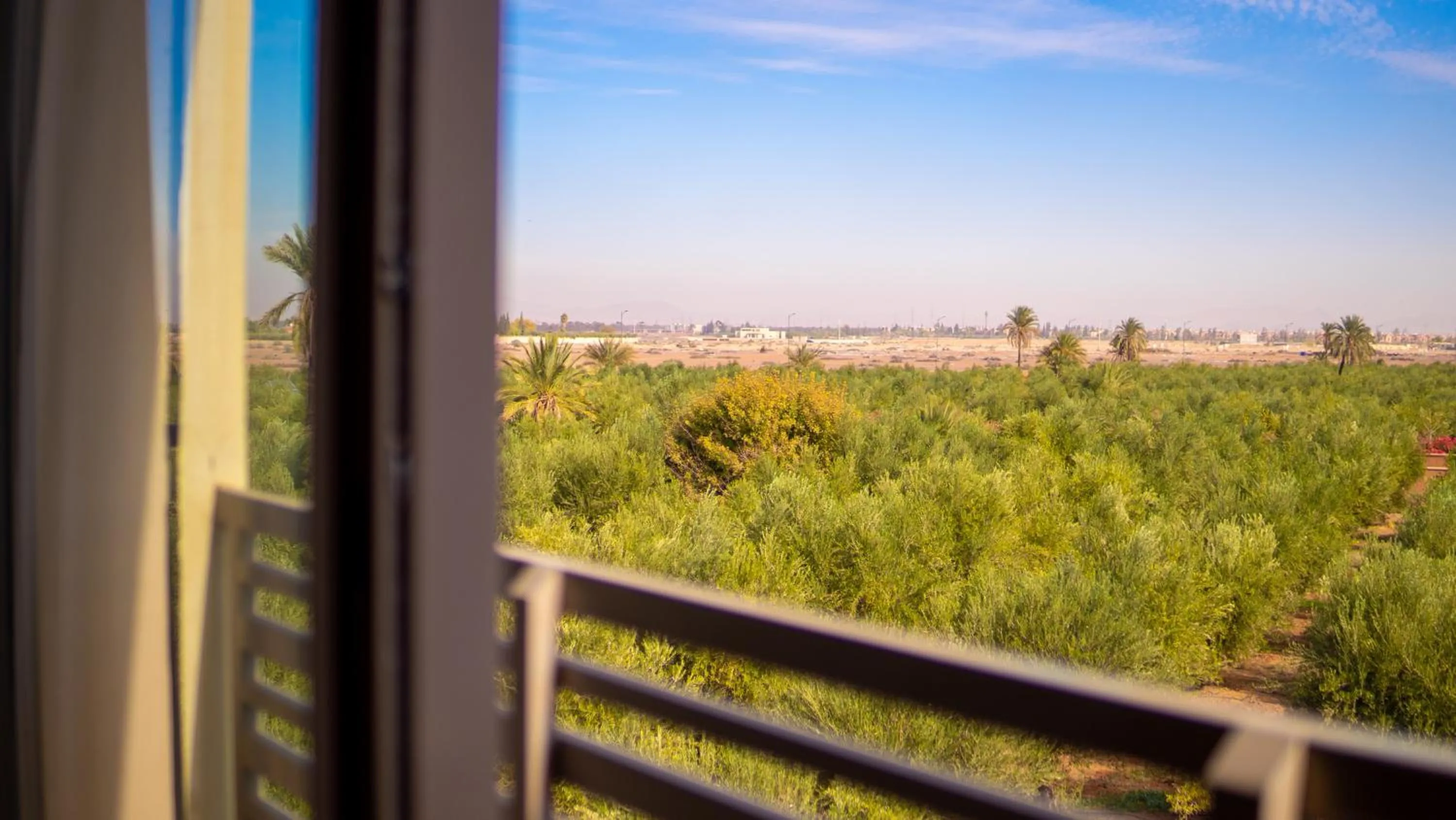 Garden view in Riad villa saphir & SPA