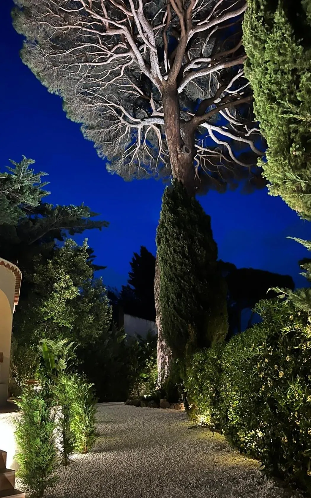 Maison d'Orange - La Pinede