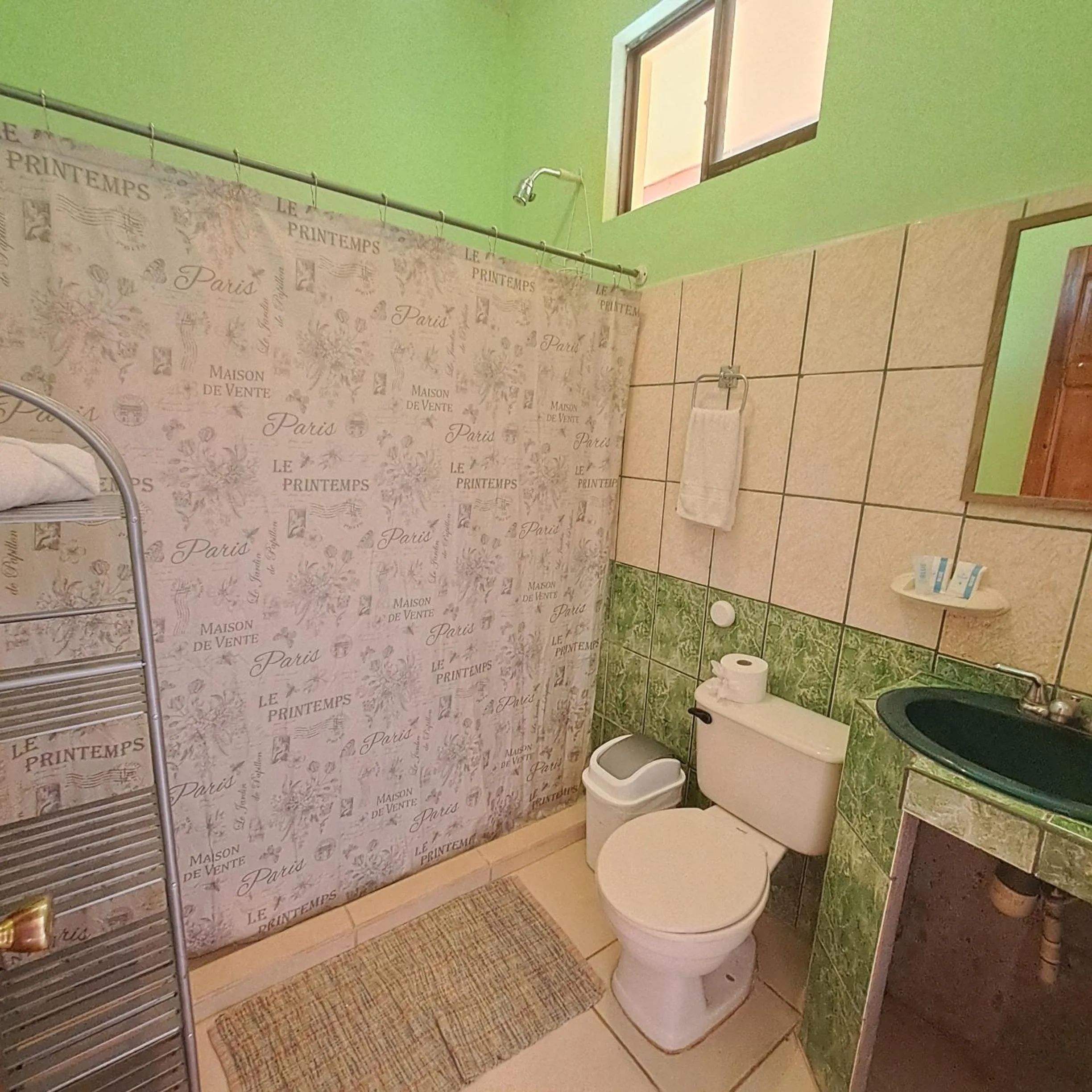 Bathroom in Georgi, Junquillal