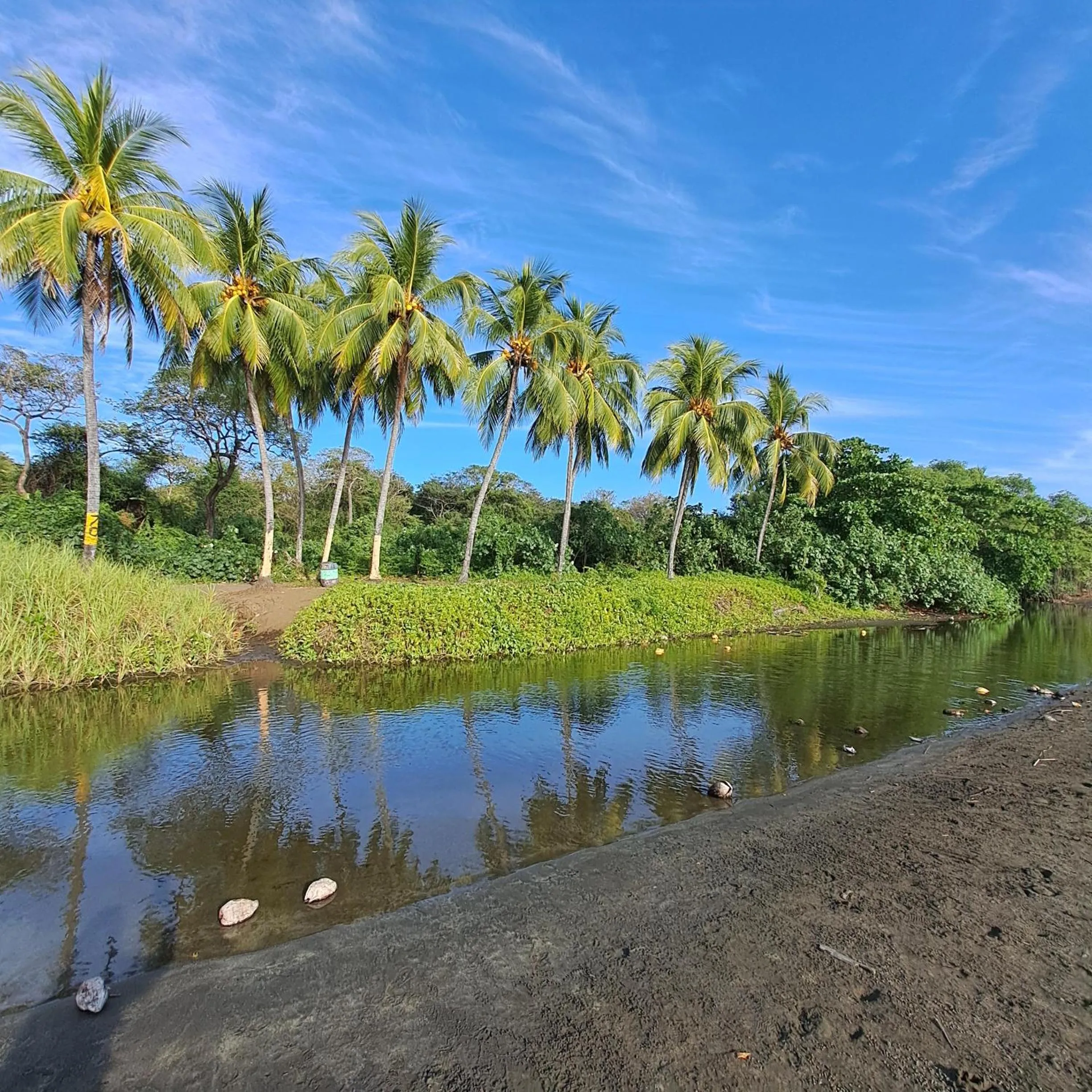 Natural landscape in Georgi, Junquillal