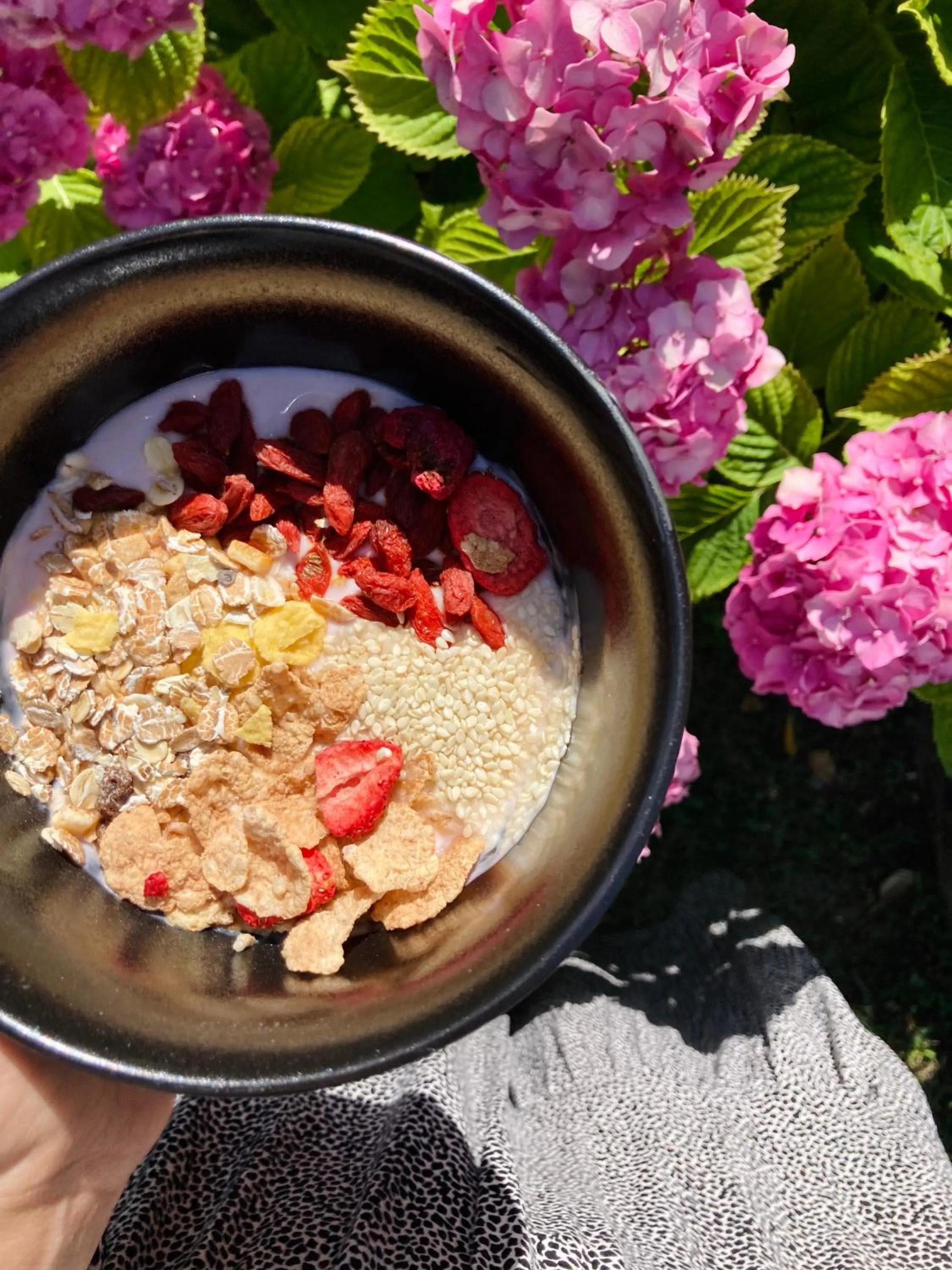 Hotel Garnì Orchidea