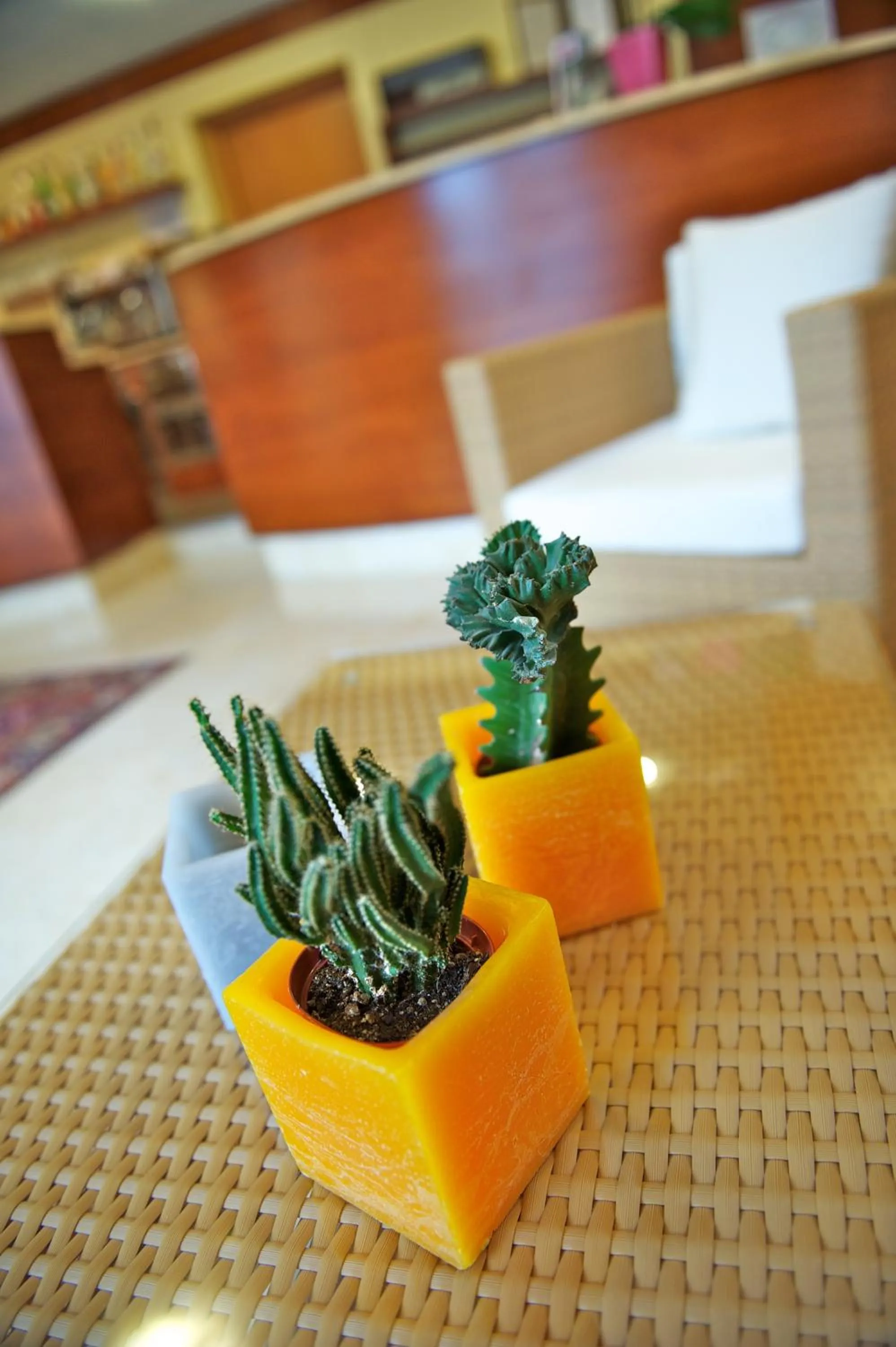 Decorative detail in Hotel Garnì Orchidea