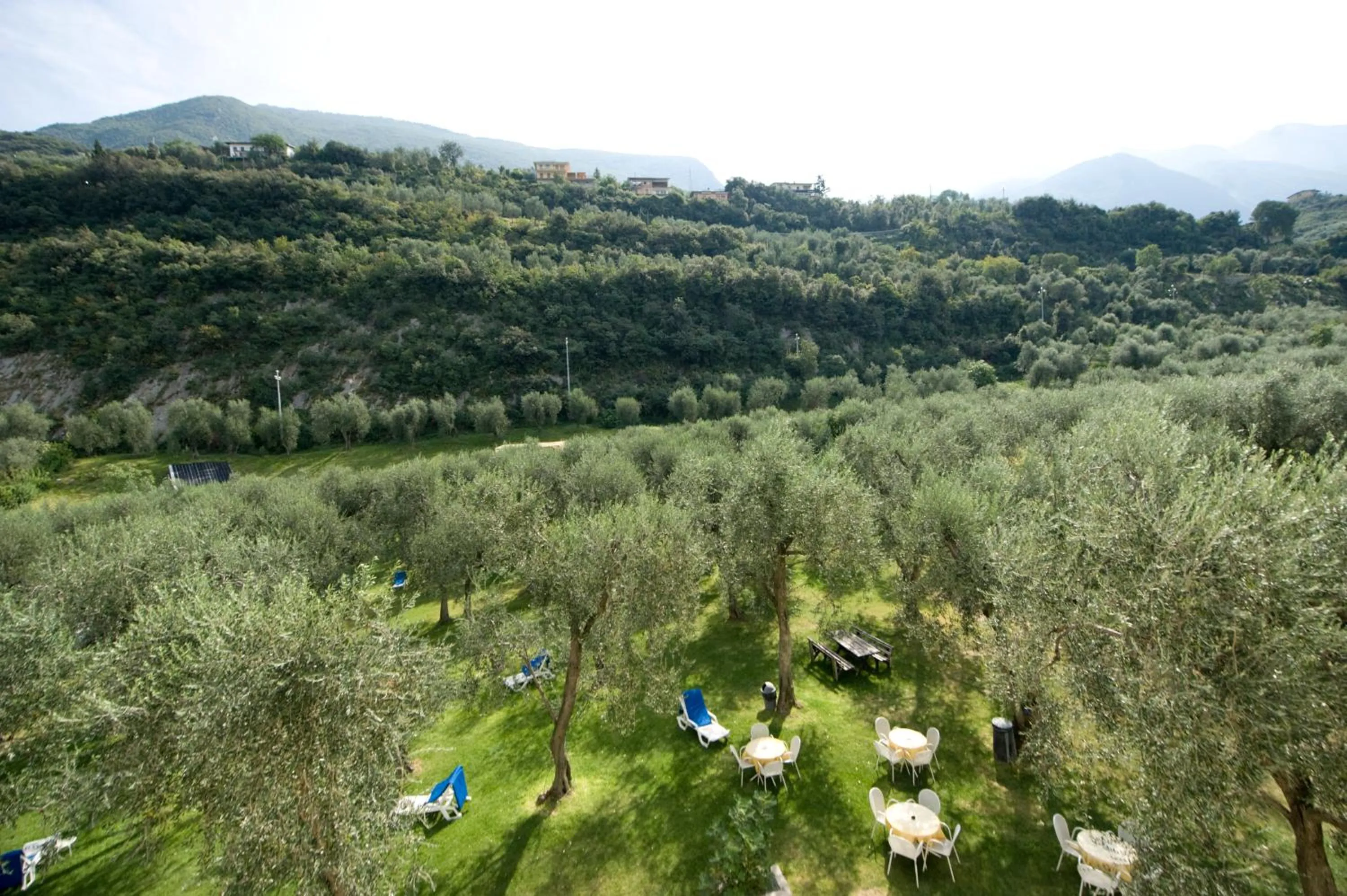 Day in Hotel Garnì Orchidea