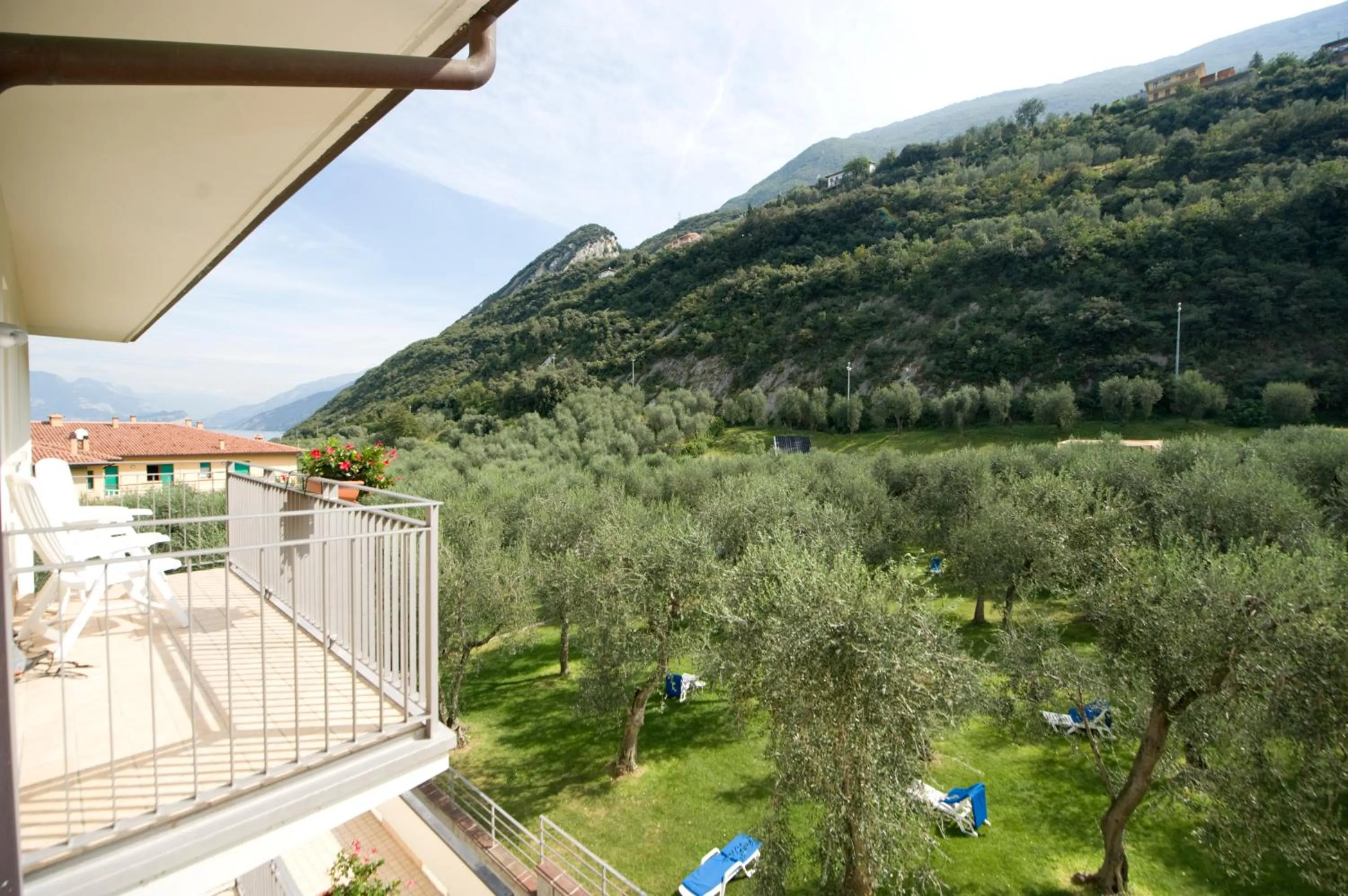 Day in Hotel Garnì Orchidea