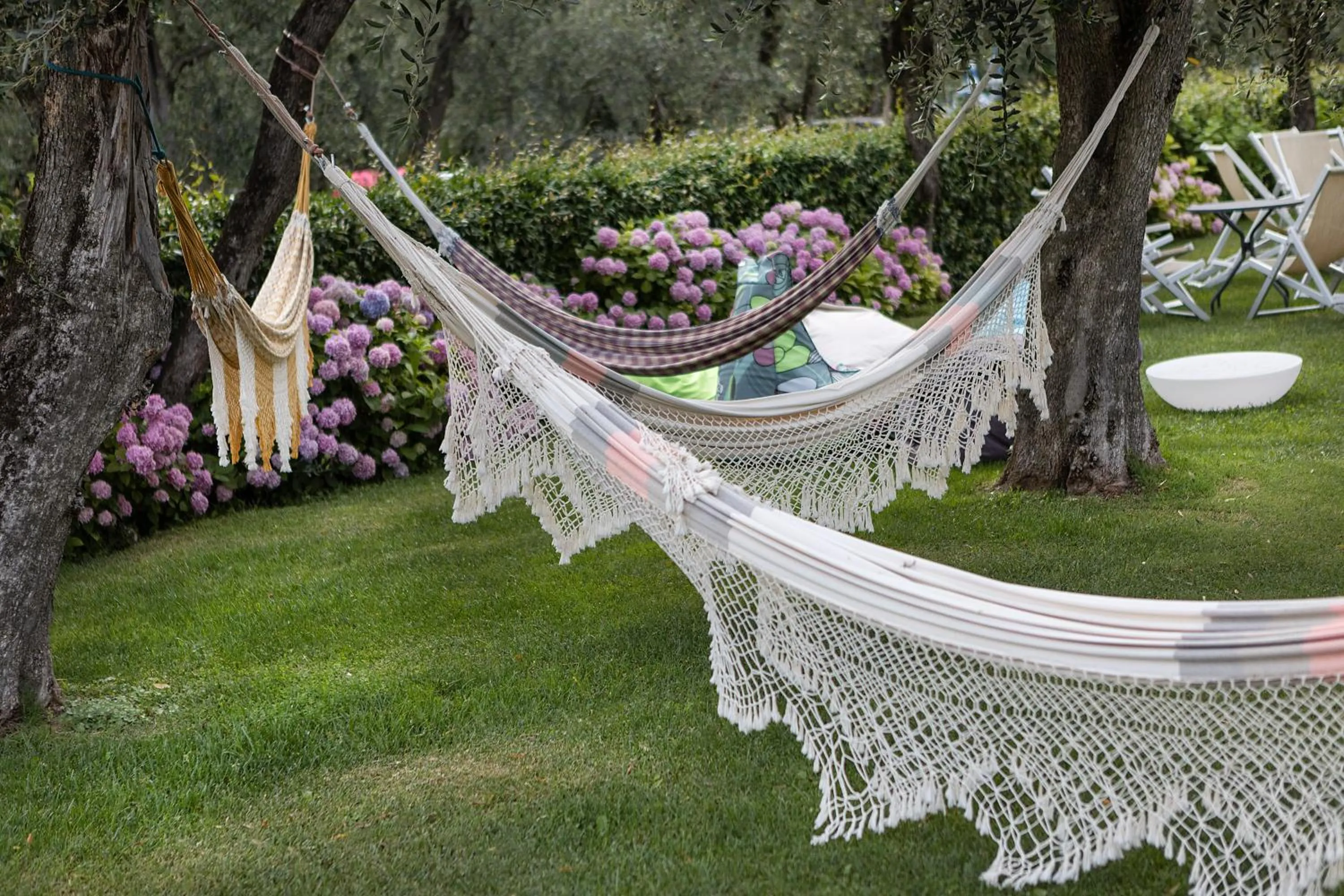 Garden in Hotel Garnì Orchidea