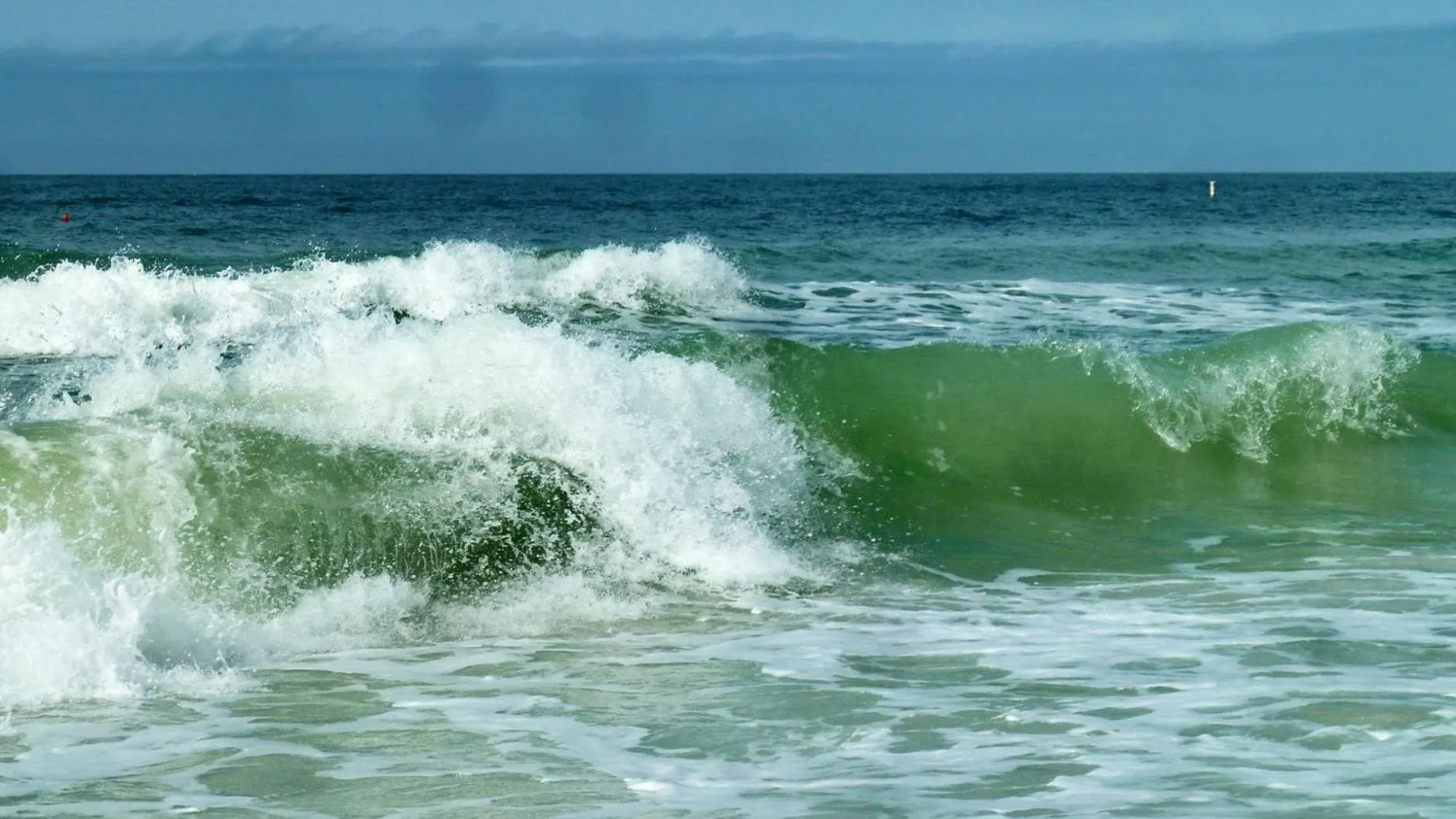 Harbourside 7718- Premier